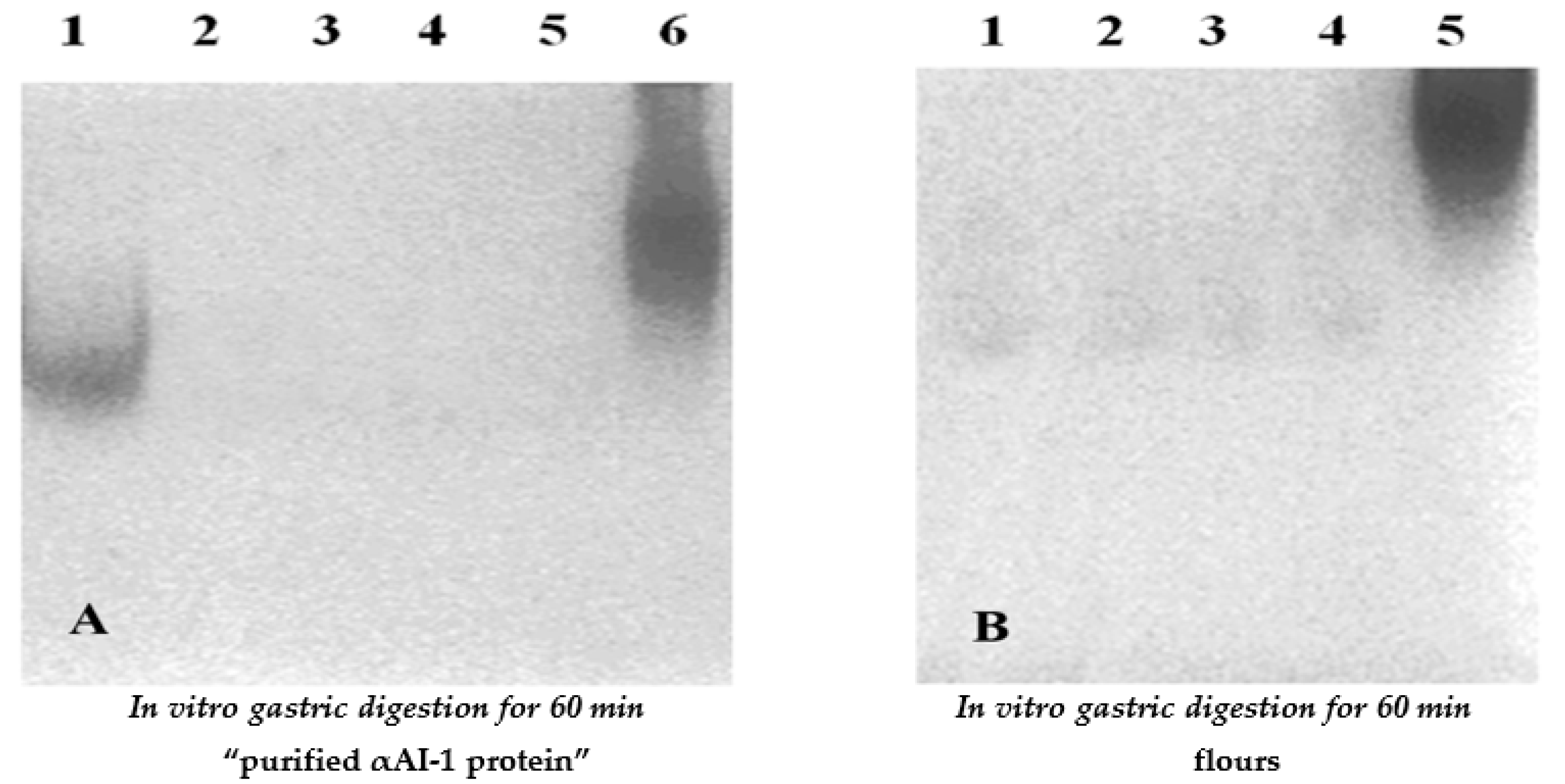 Applsci 14 10935 g004
