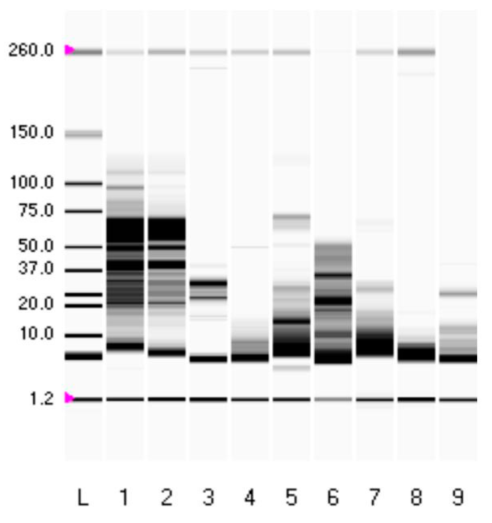 Applsci 14 10935 g005