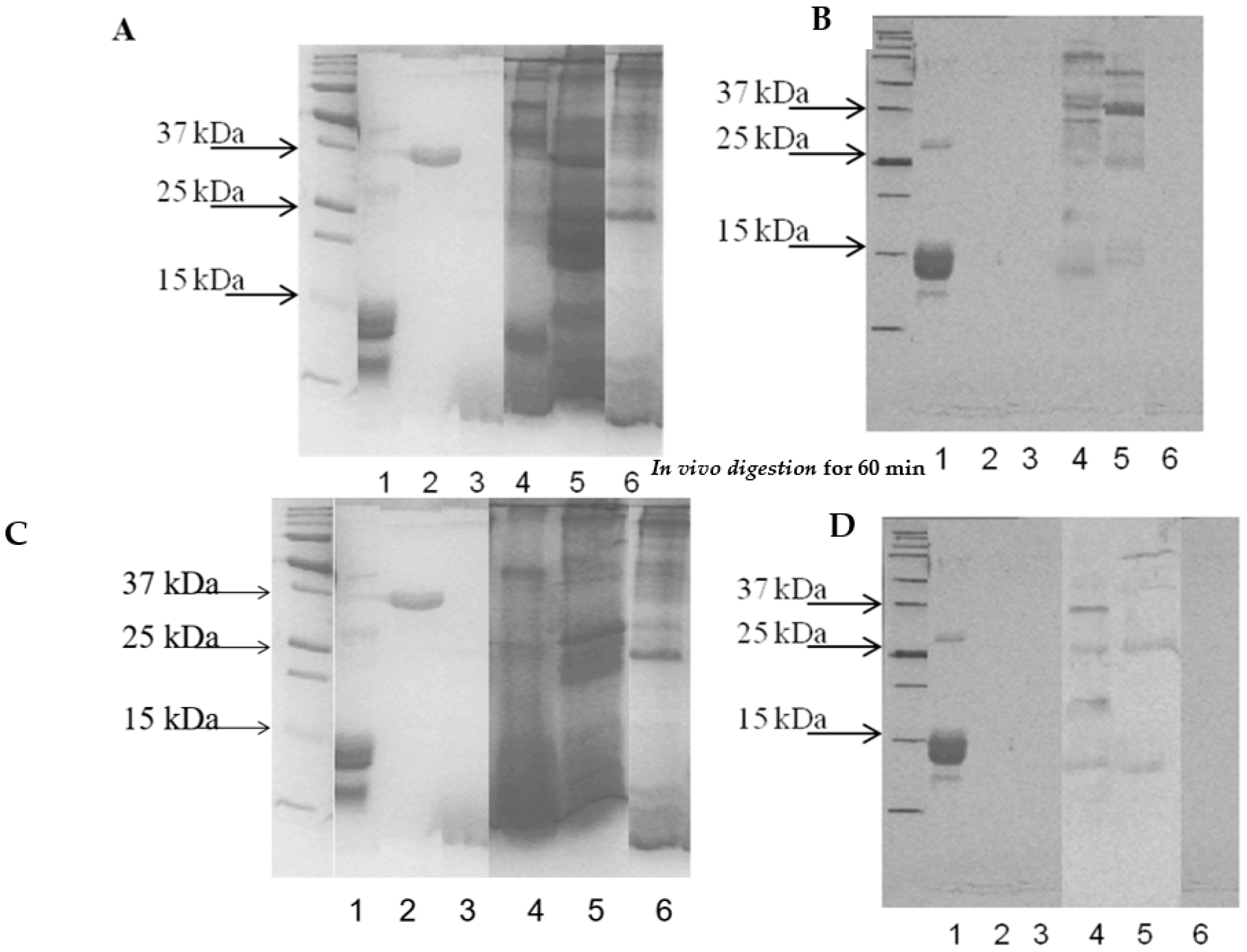 Applsci 14 10935 g007