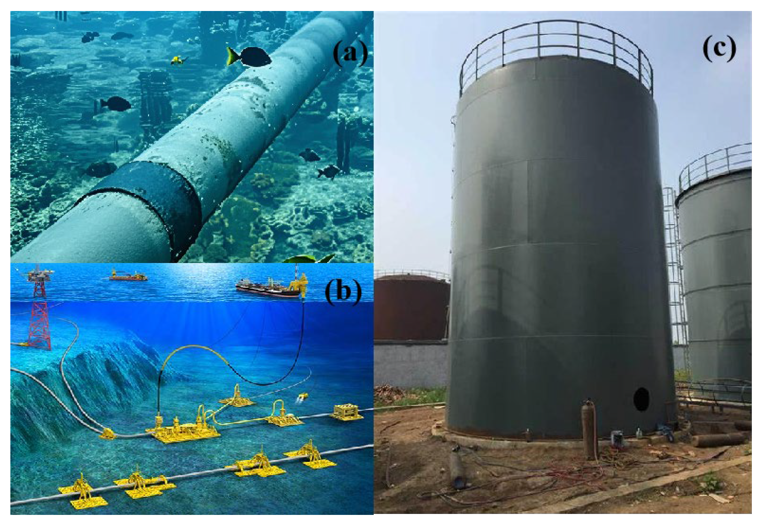 Applsci 14 10990 g001