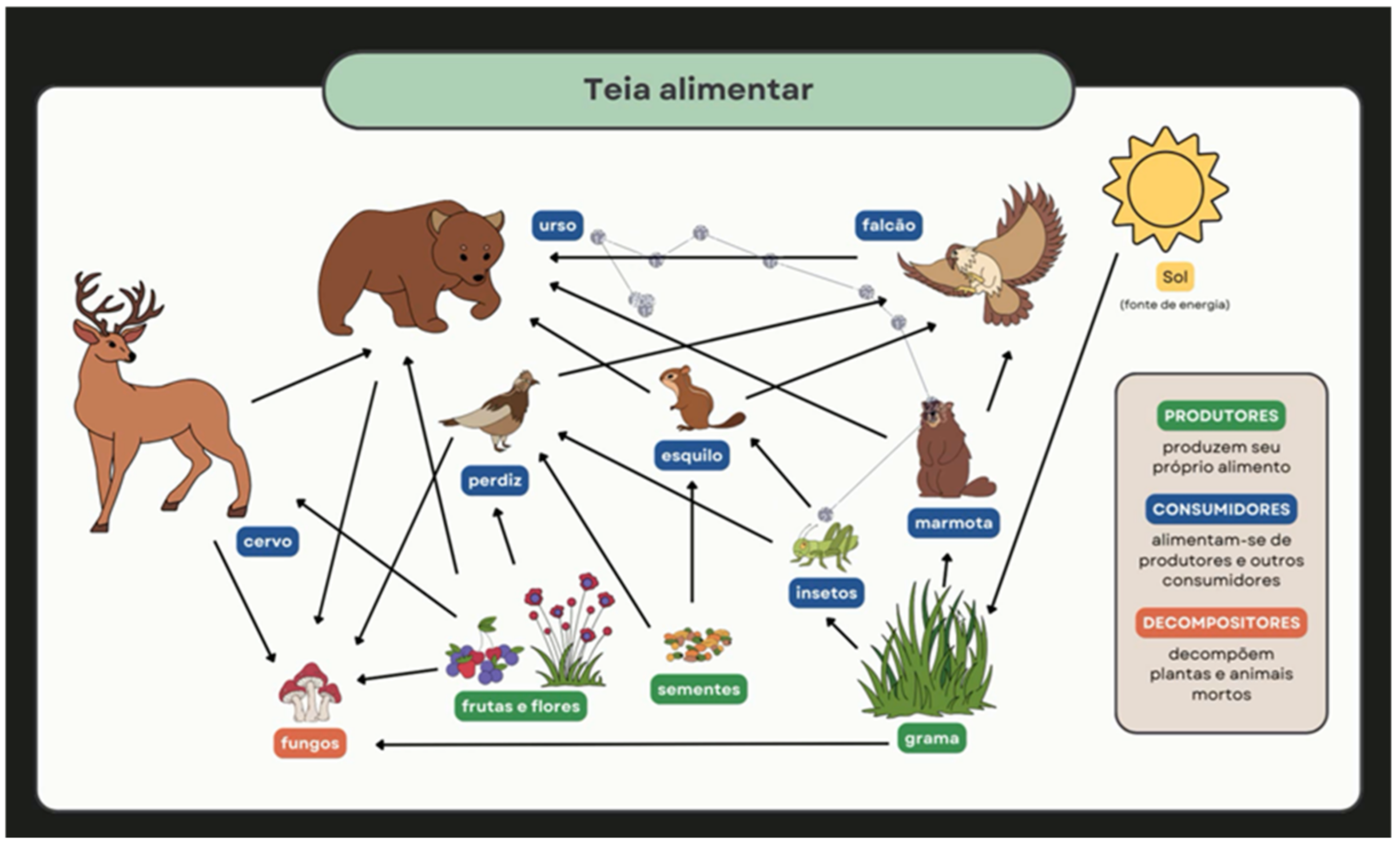 Applsci 14 11007 g004 Applsci 14 11007 g004