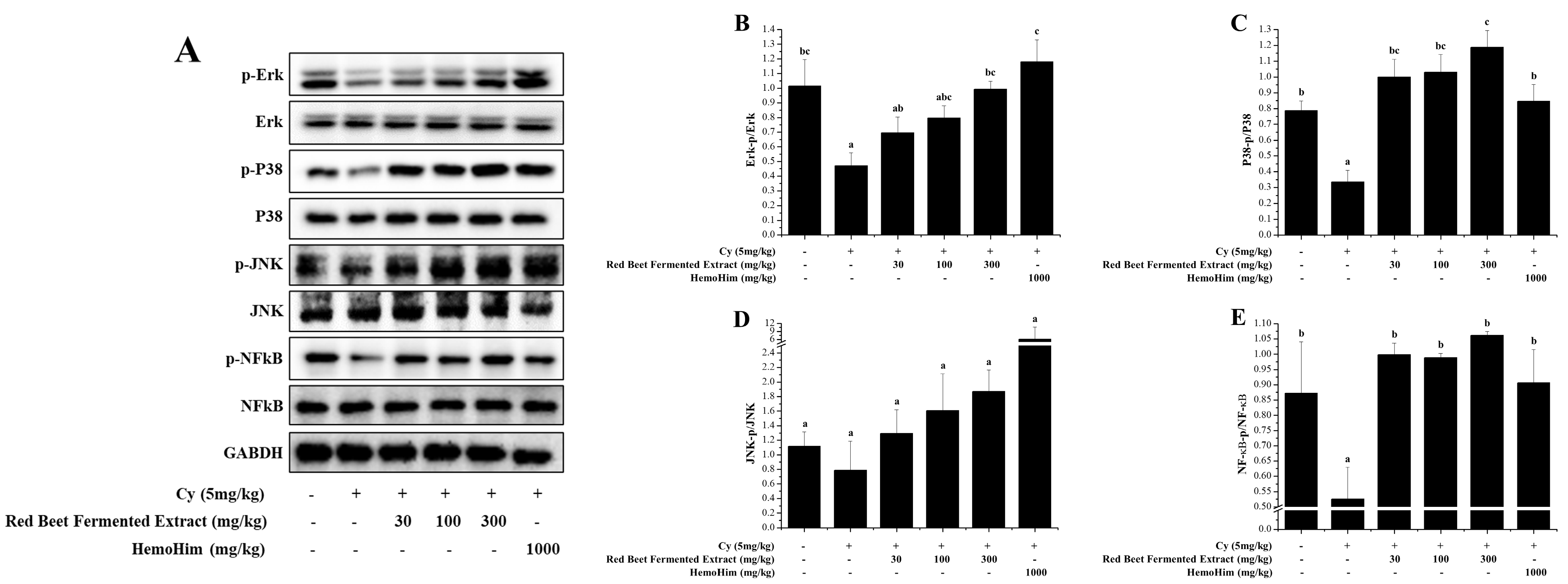 Applsci 14 11013 g008