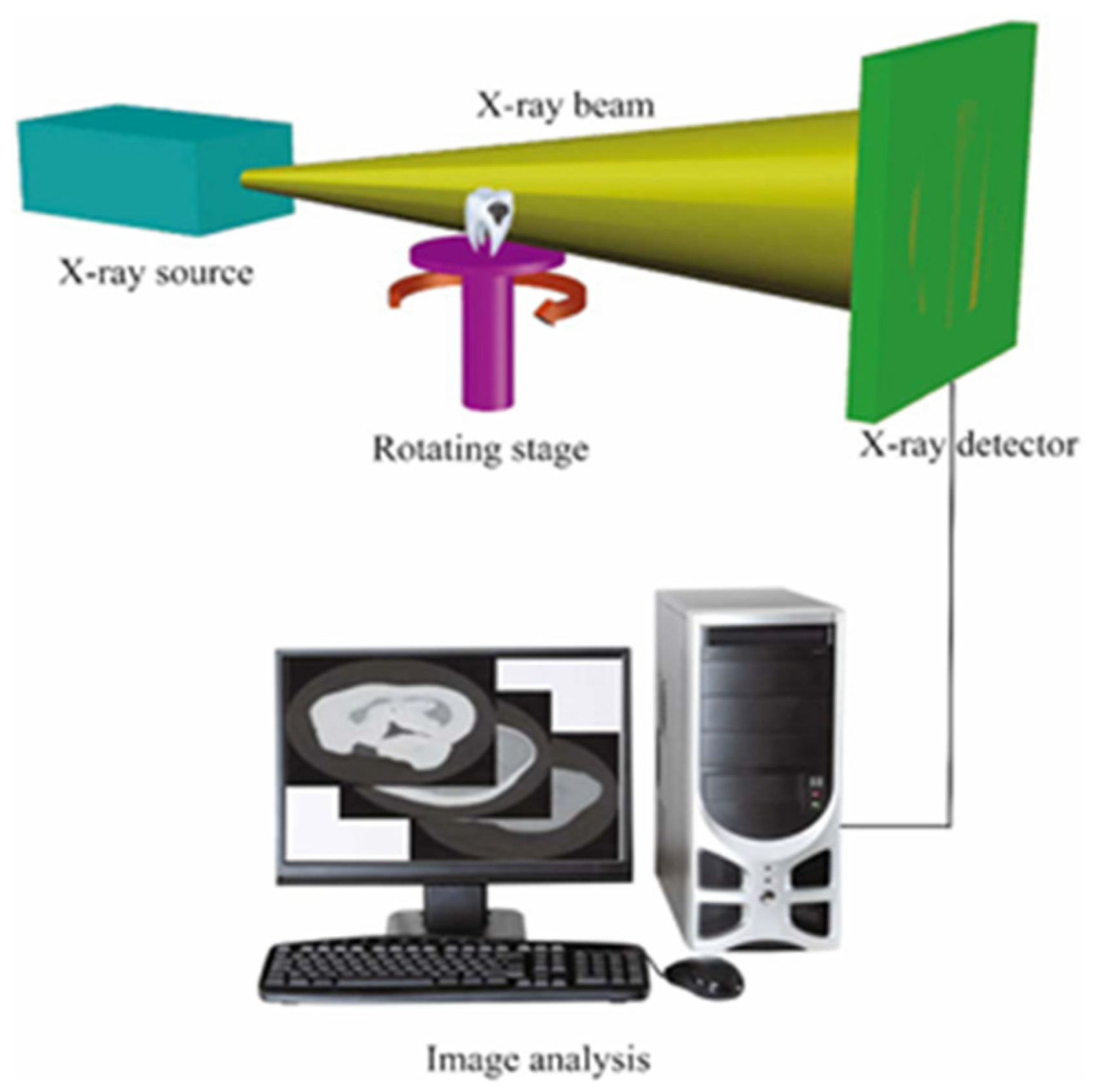 Applsci 14 11016 g001