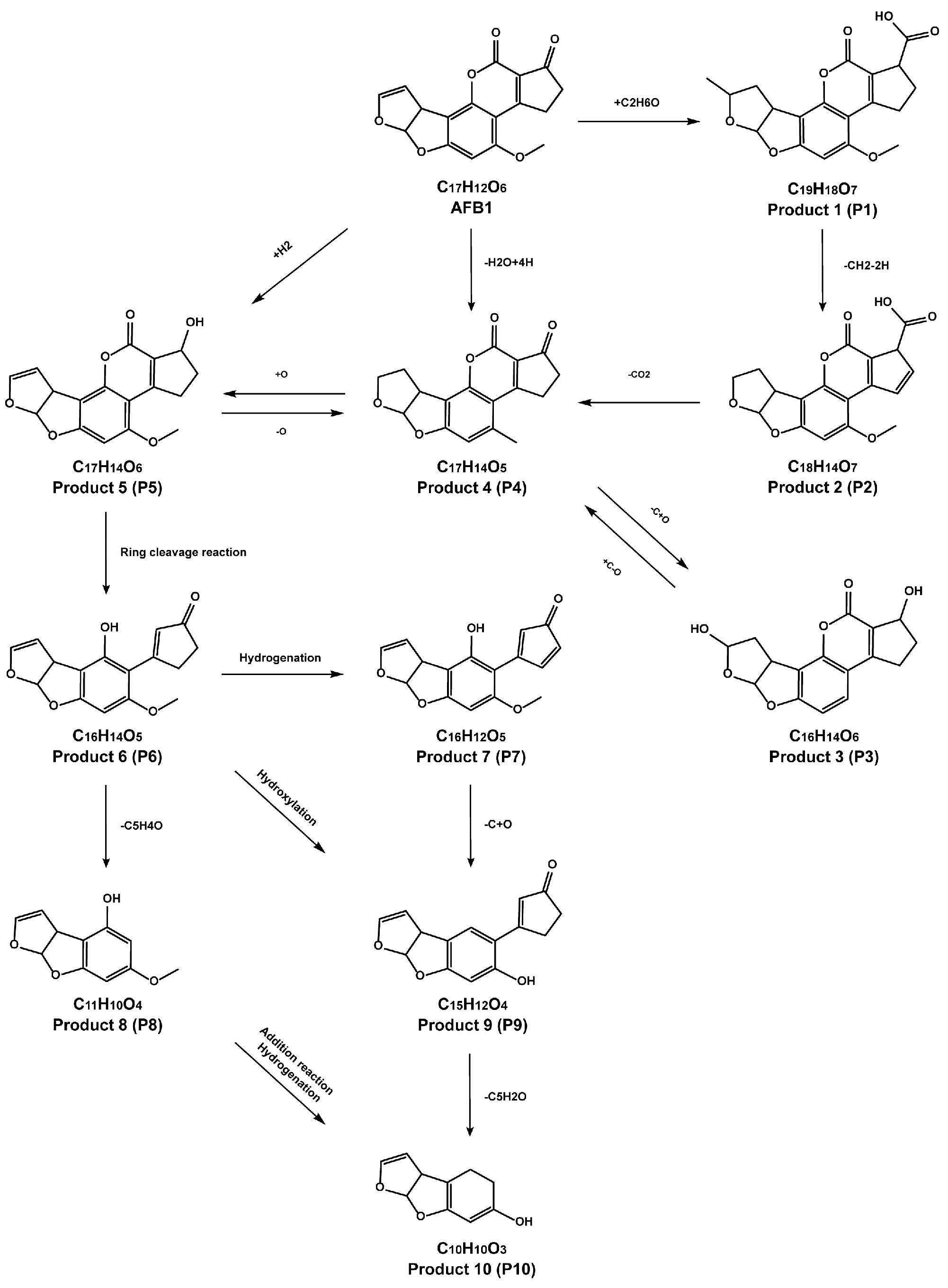 Applsci 14 11024 g004