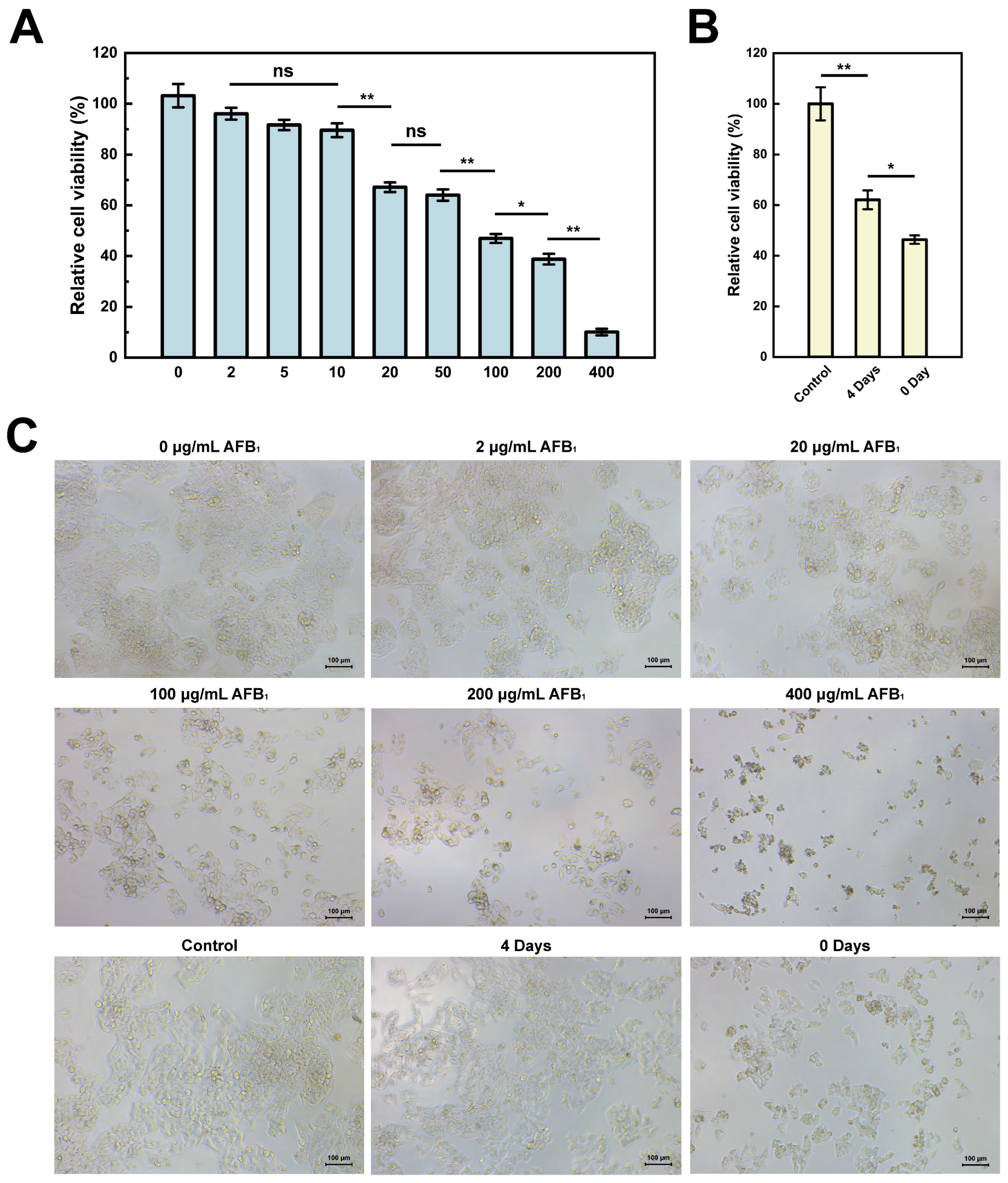 Applsci 14 11024 g005