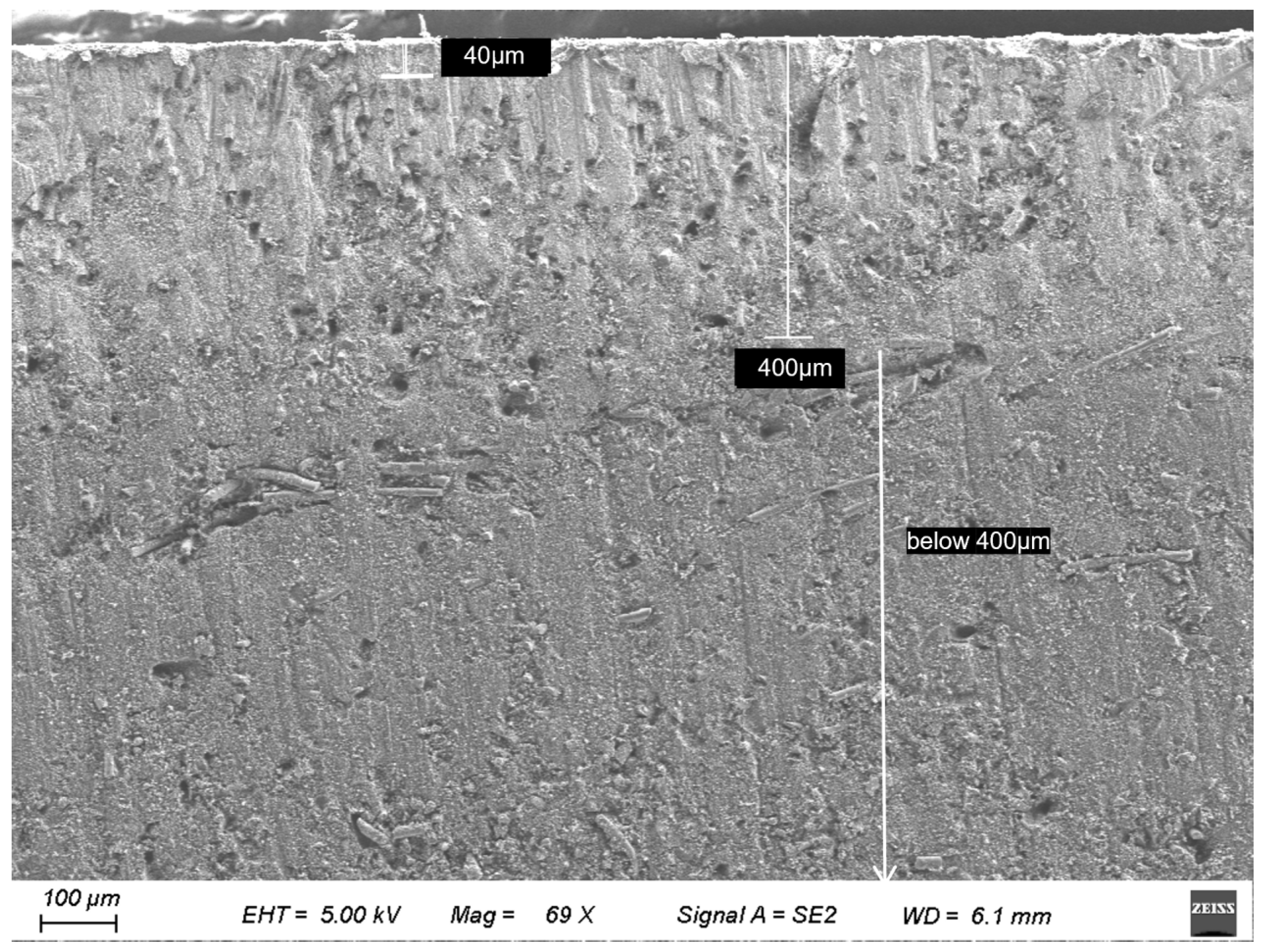 Applsci 14 11025 g002