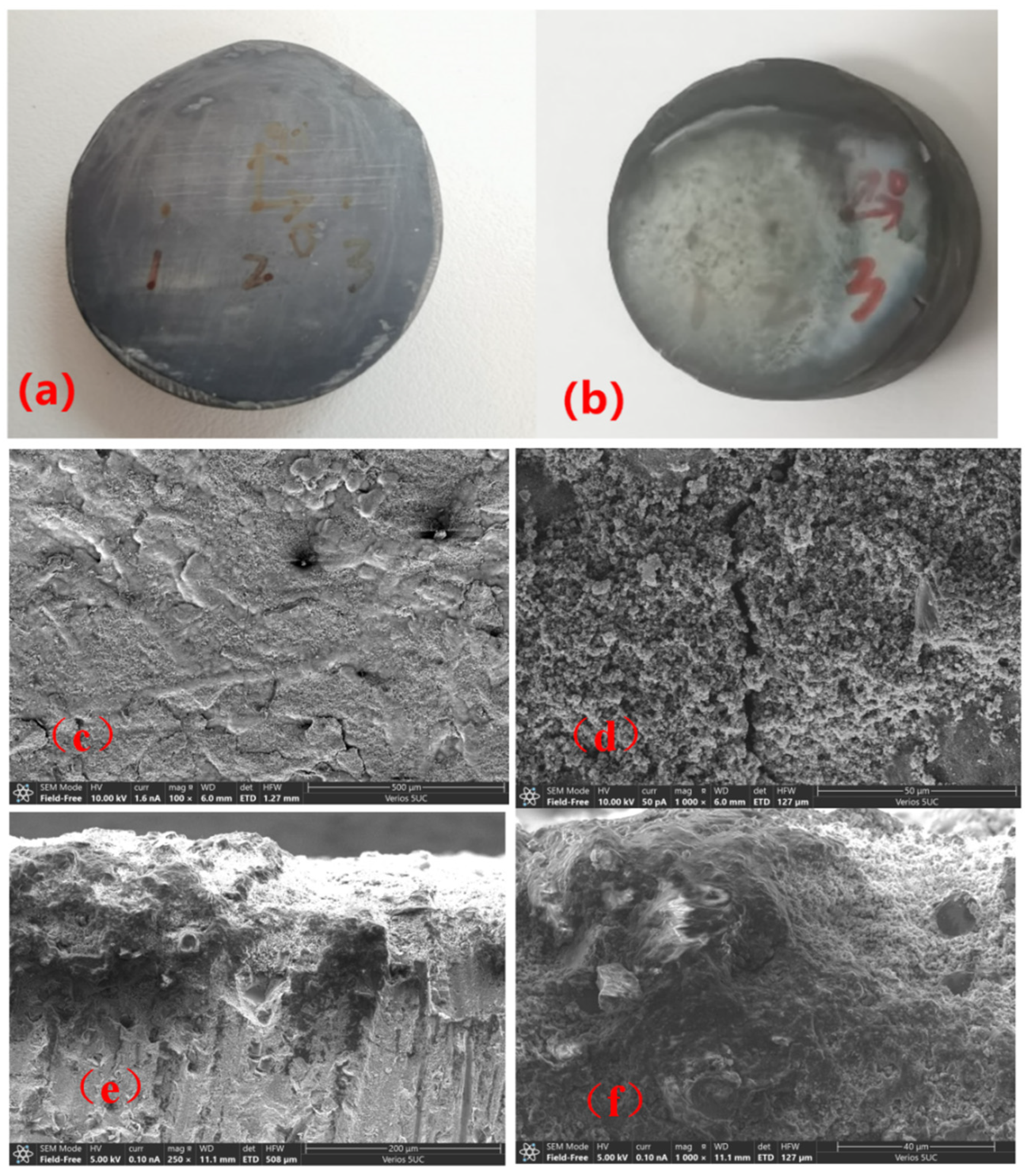 Applsci 14 11025 g007