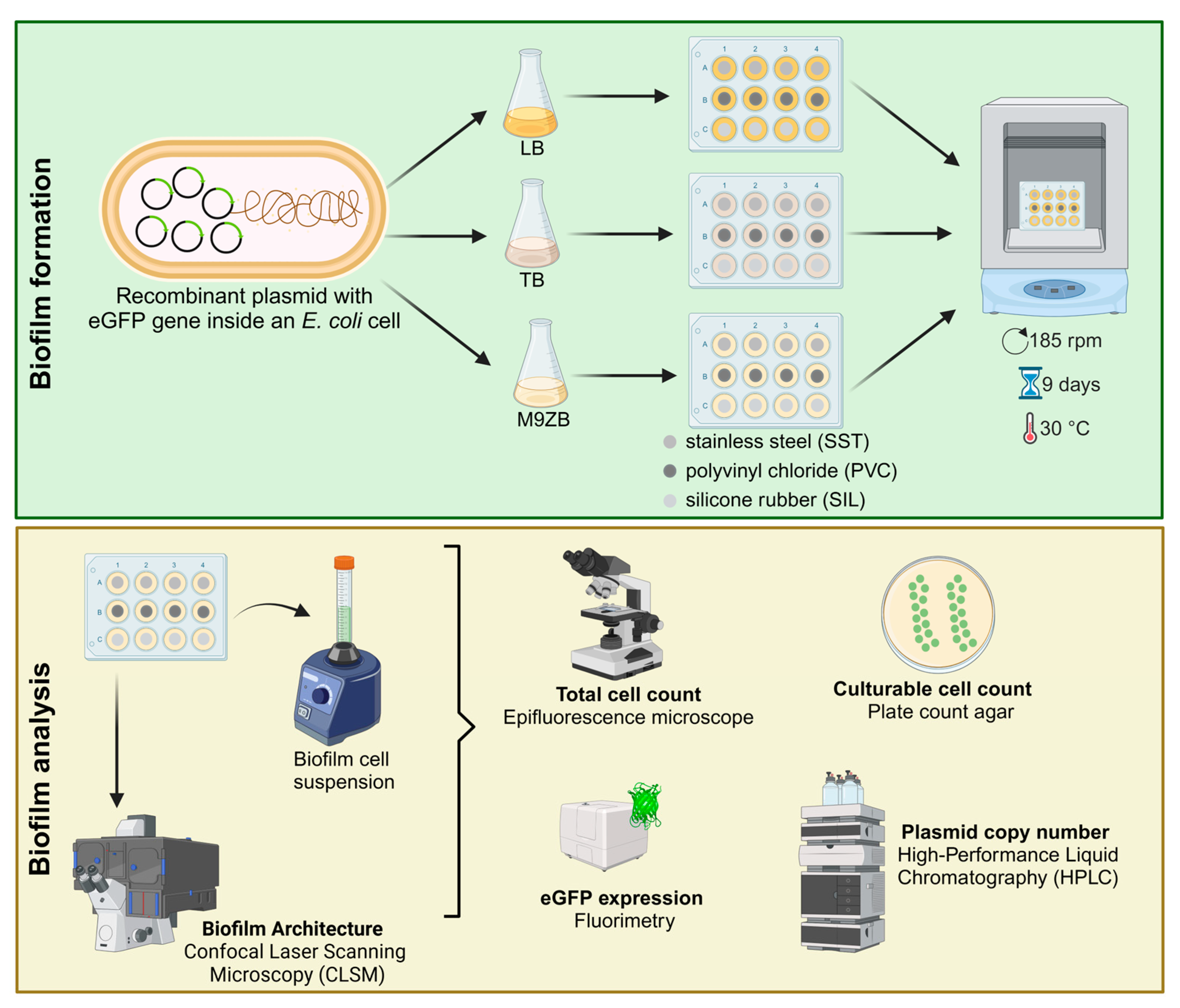 Applsci 14 11029 g001