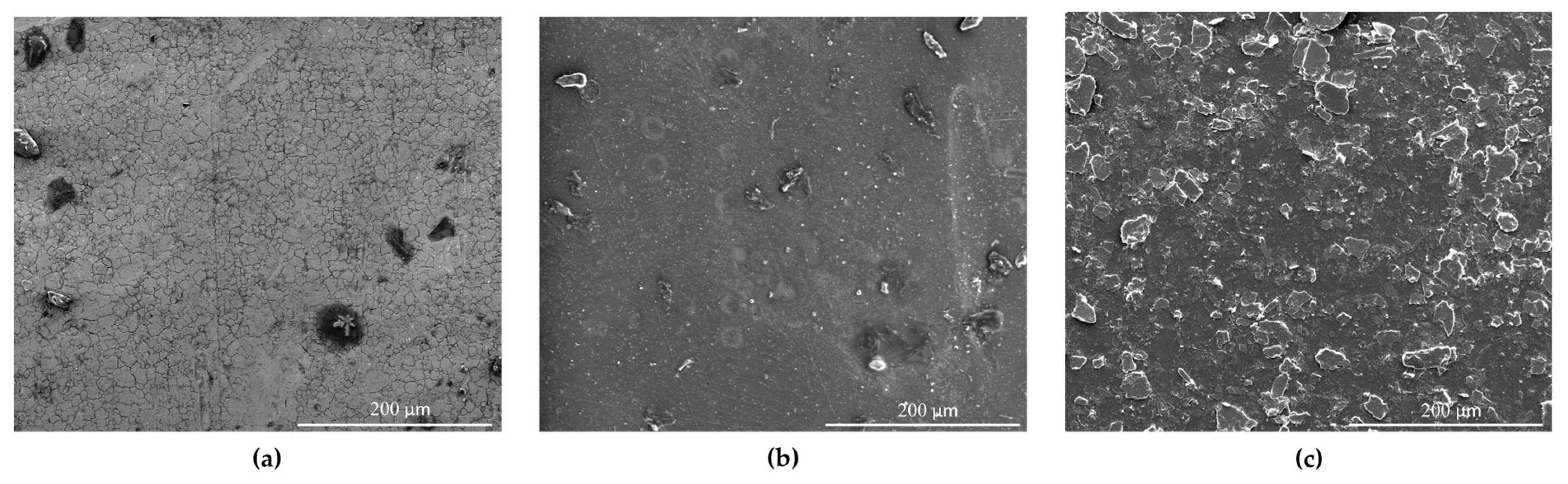 Applsci 14 11029 g003