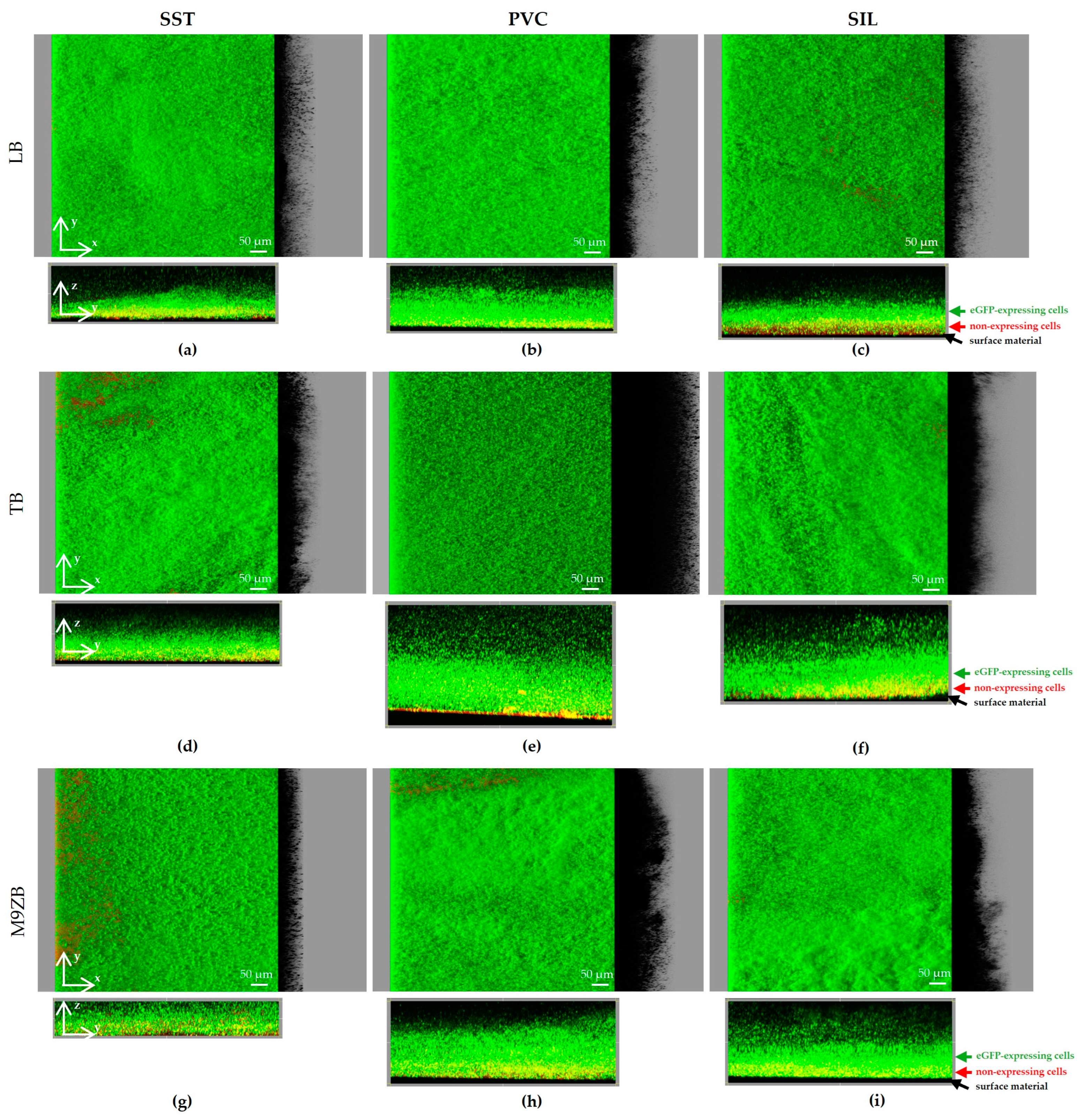 Applsci 14 11029 g005