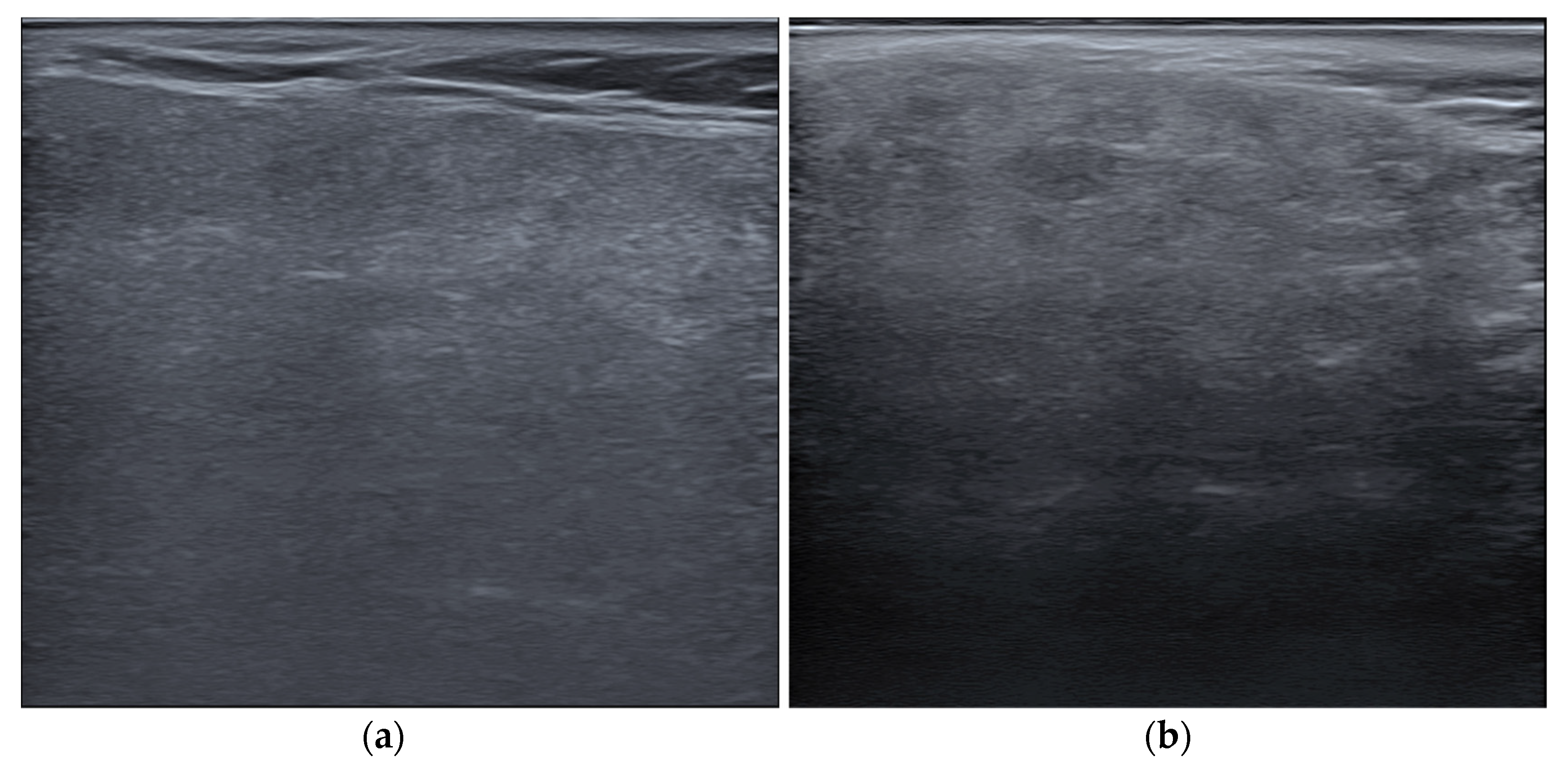 Applsci 14 11041 g002