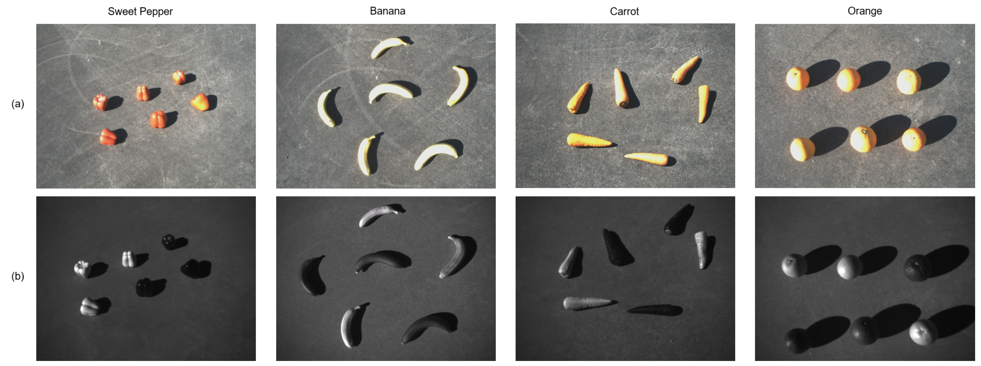 Applsci 14 11049 g010