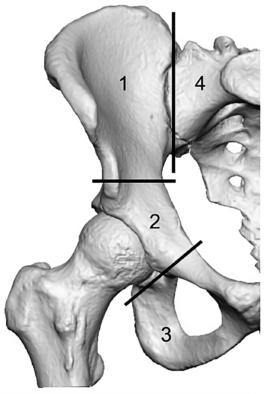 Applsci 14 11054 g001