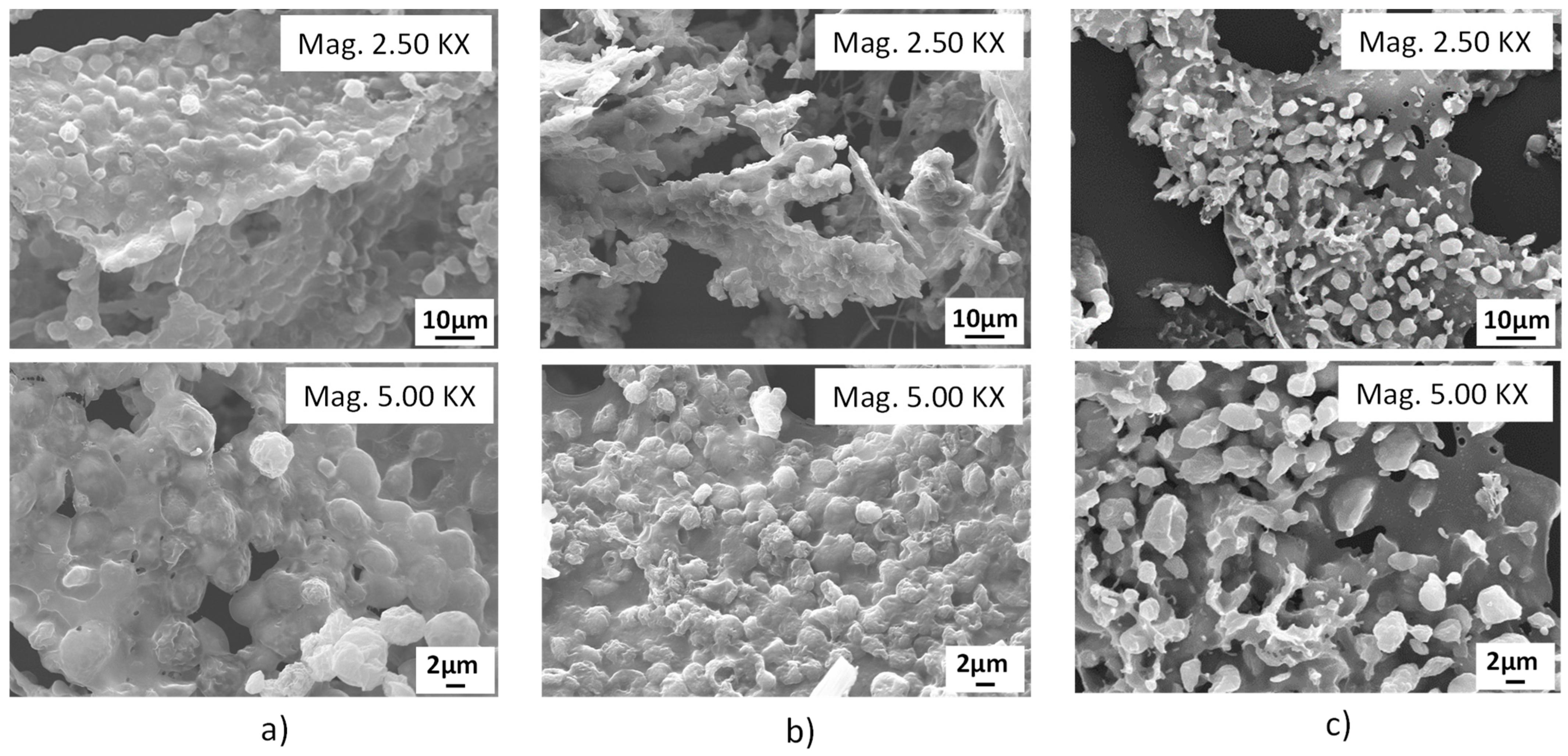 Applsci 14 11057 g013