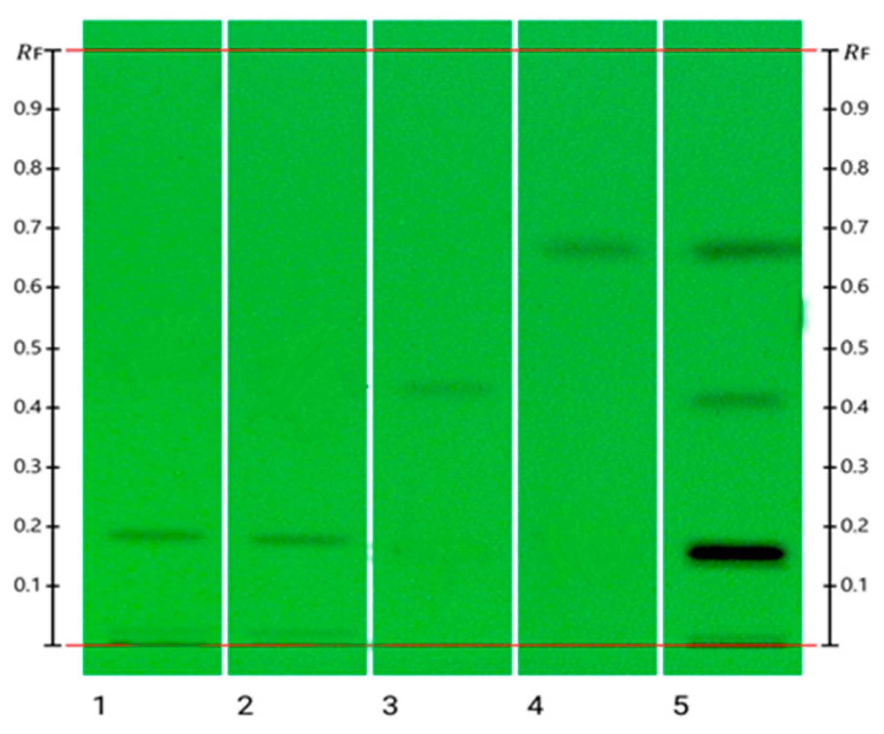 Applsci 14 11064 g002