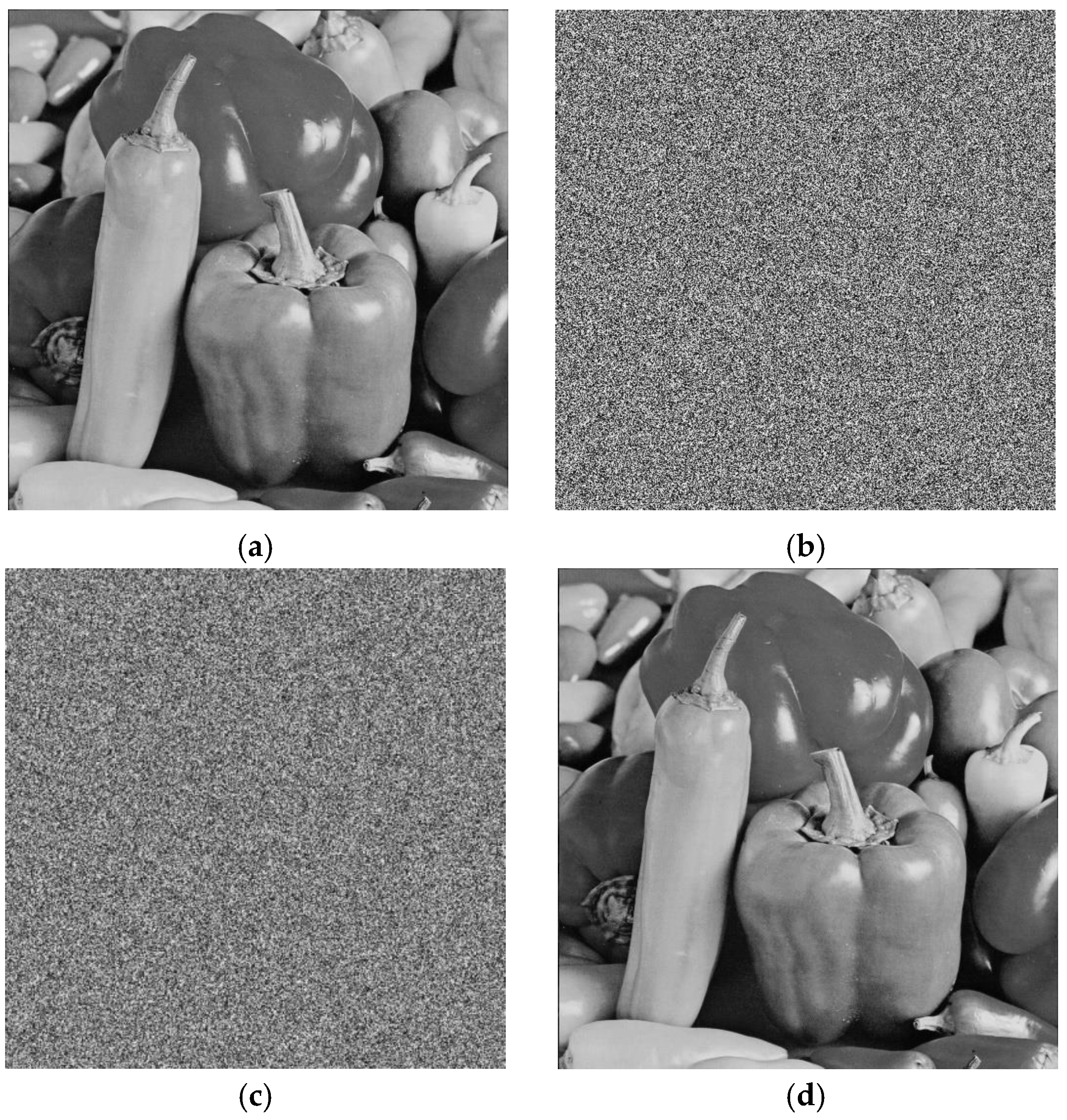 Applsci 14 11083 g005