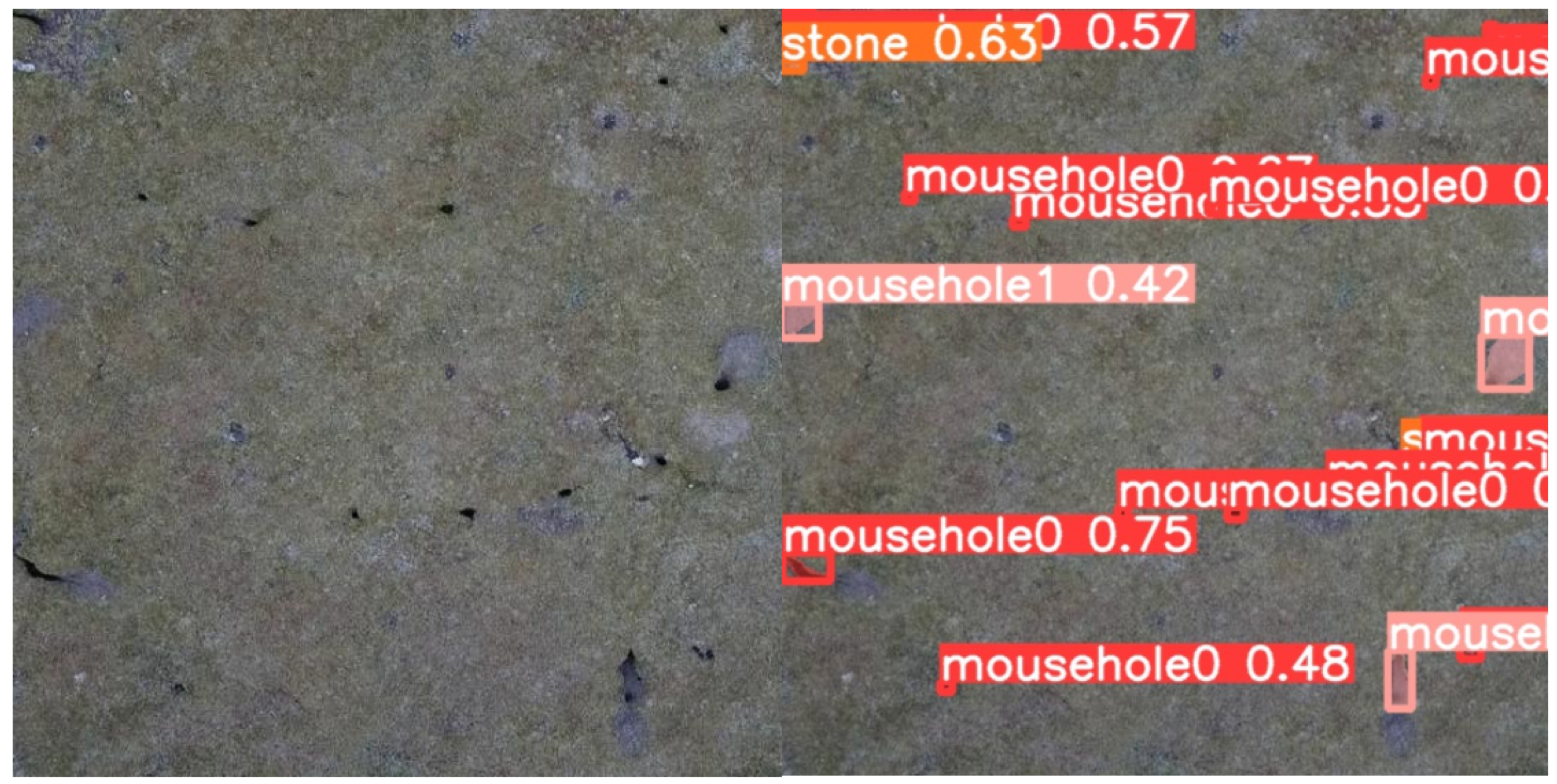 Applsci 14 11088 g010