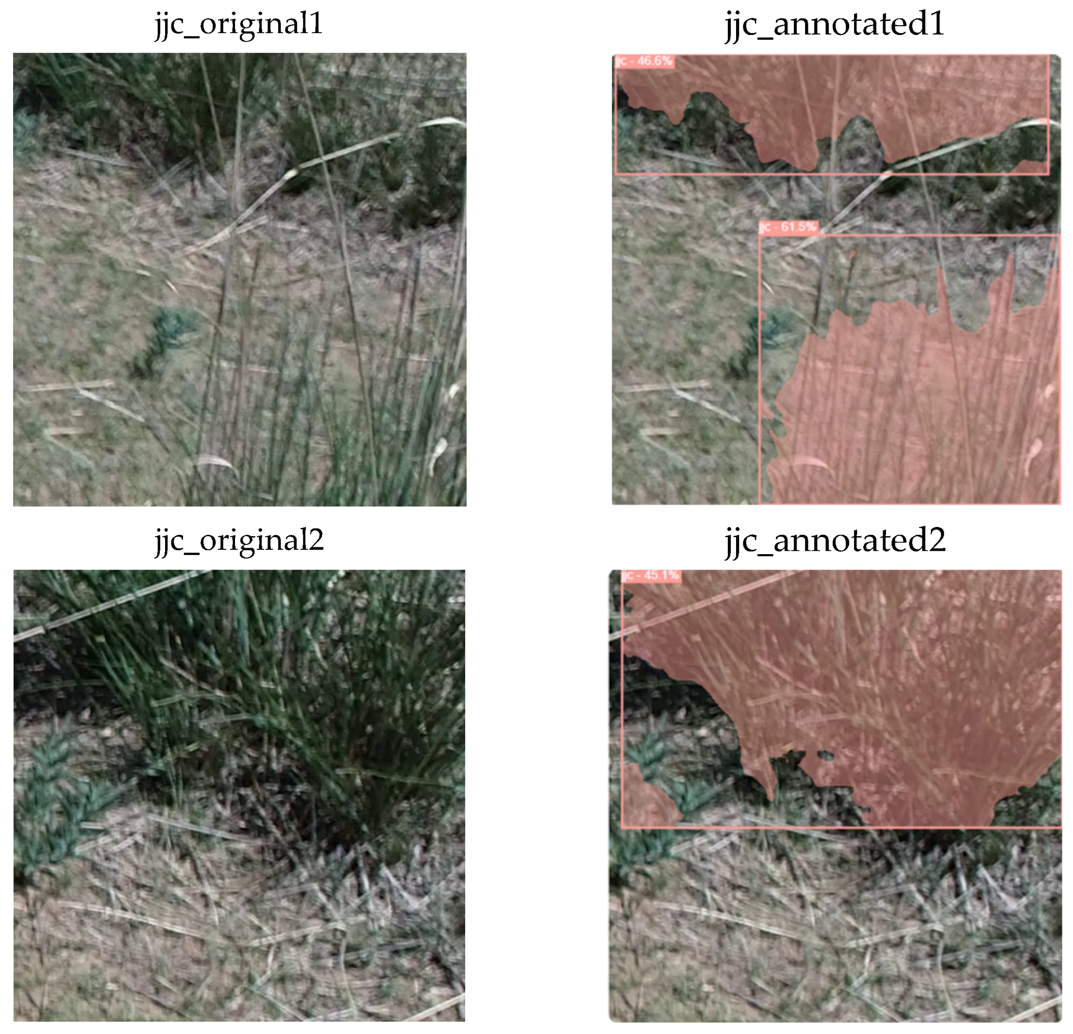 Applsci 14 11088 g013