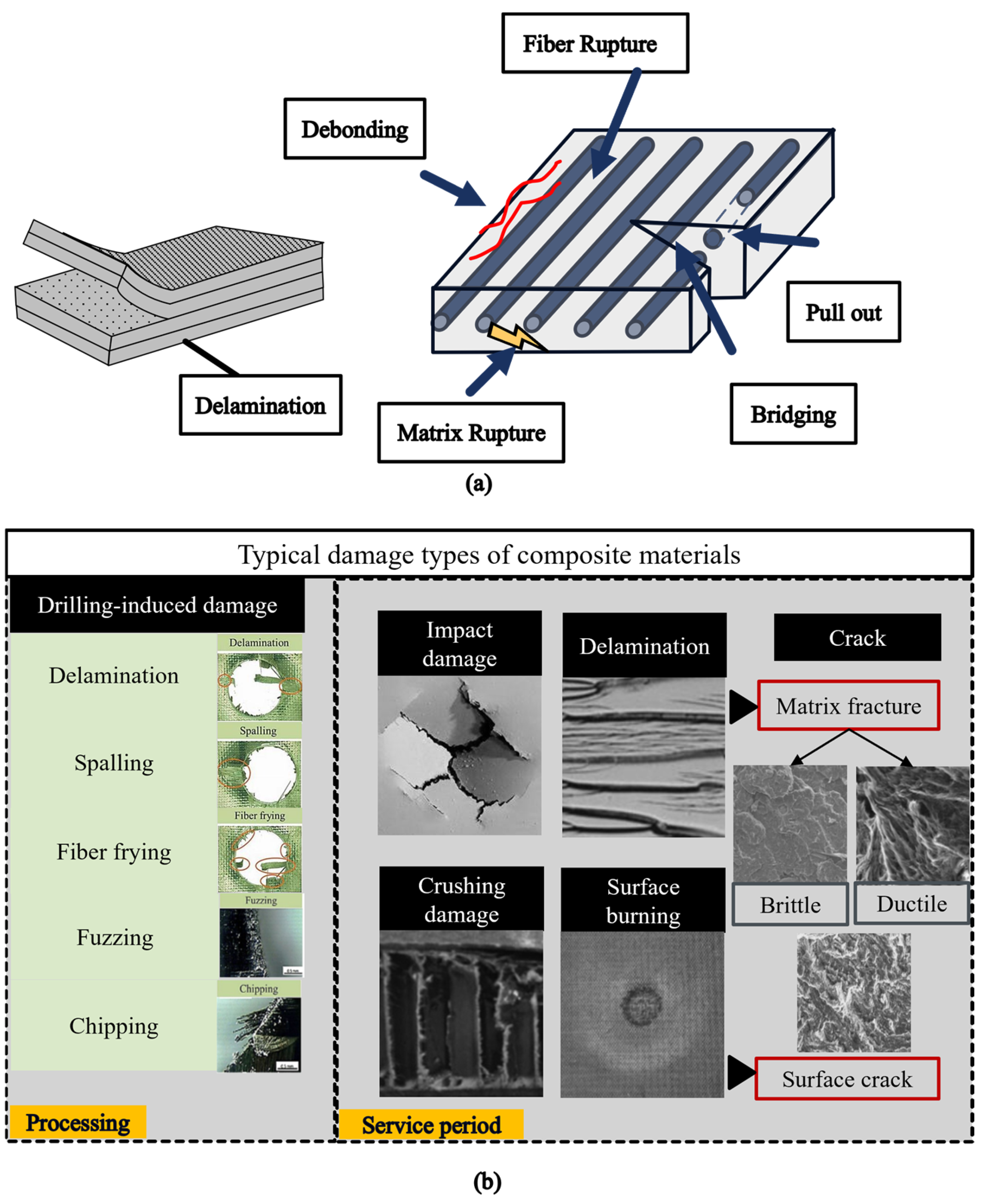 Applsci 14 11091 g002