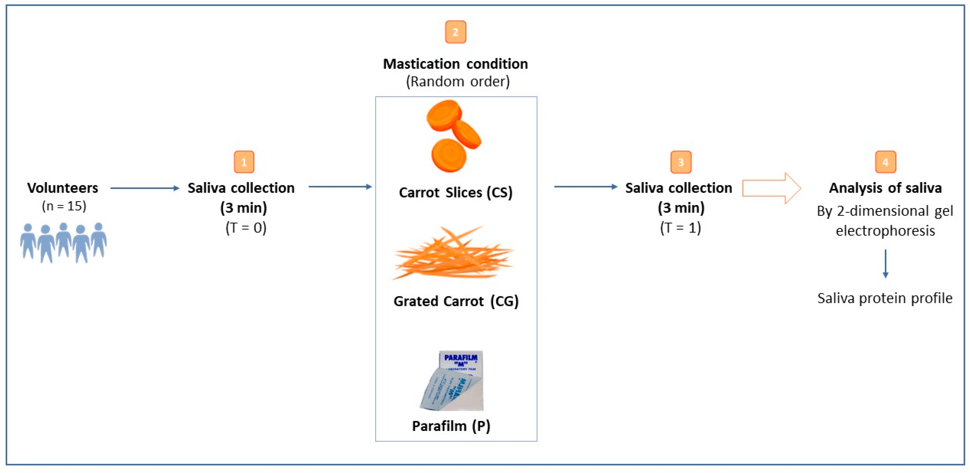 Applsci 14 11118 g001