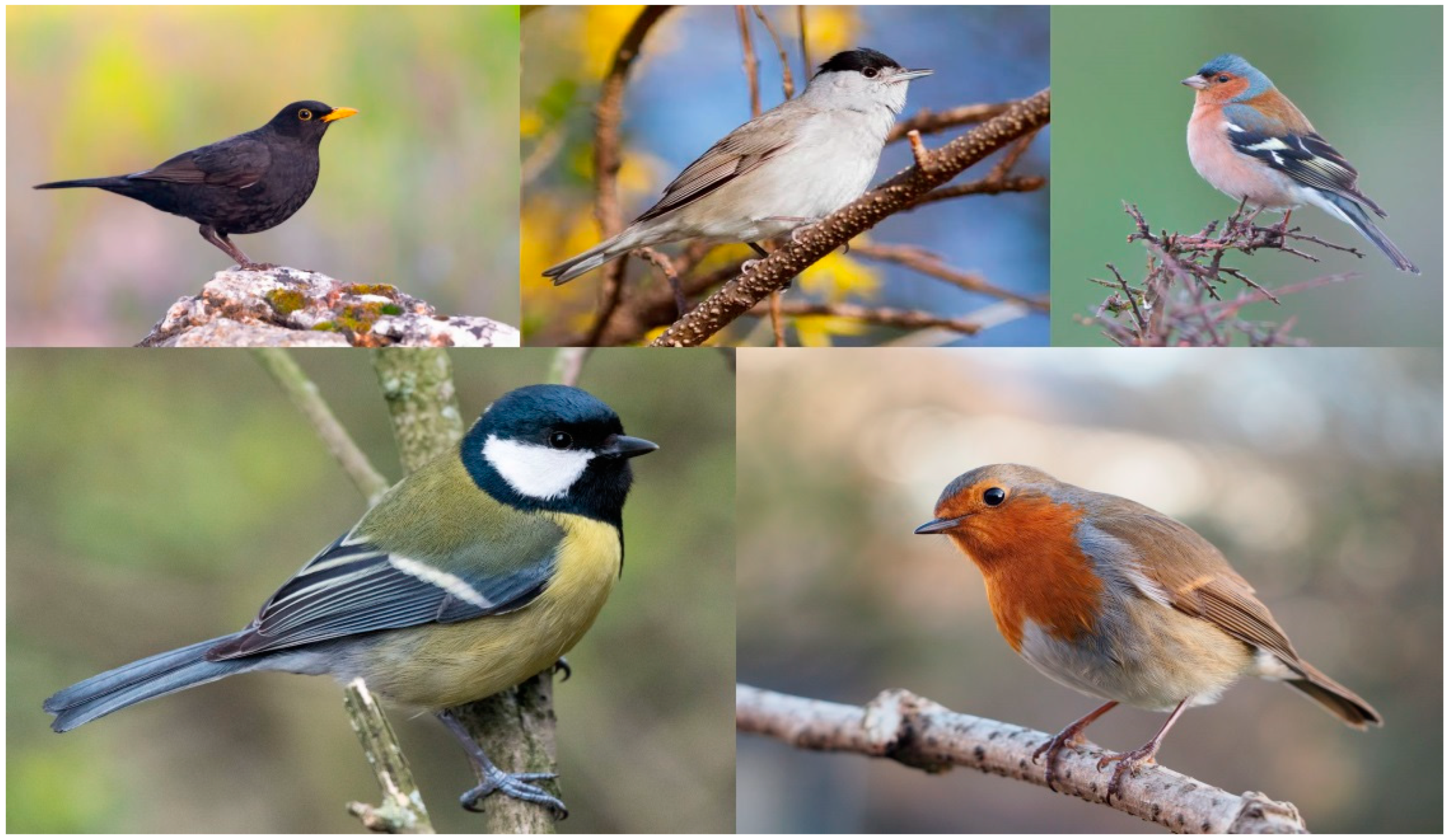 Applsci 14 11124 g002