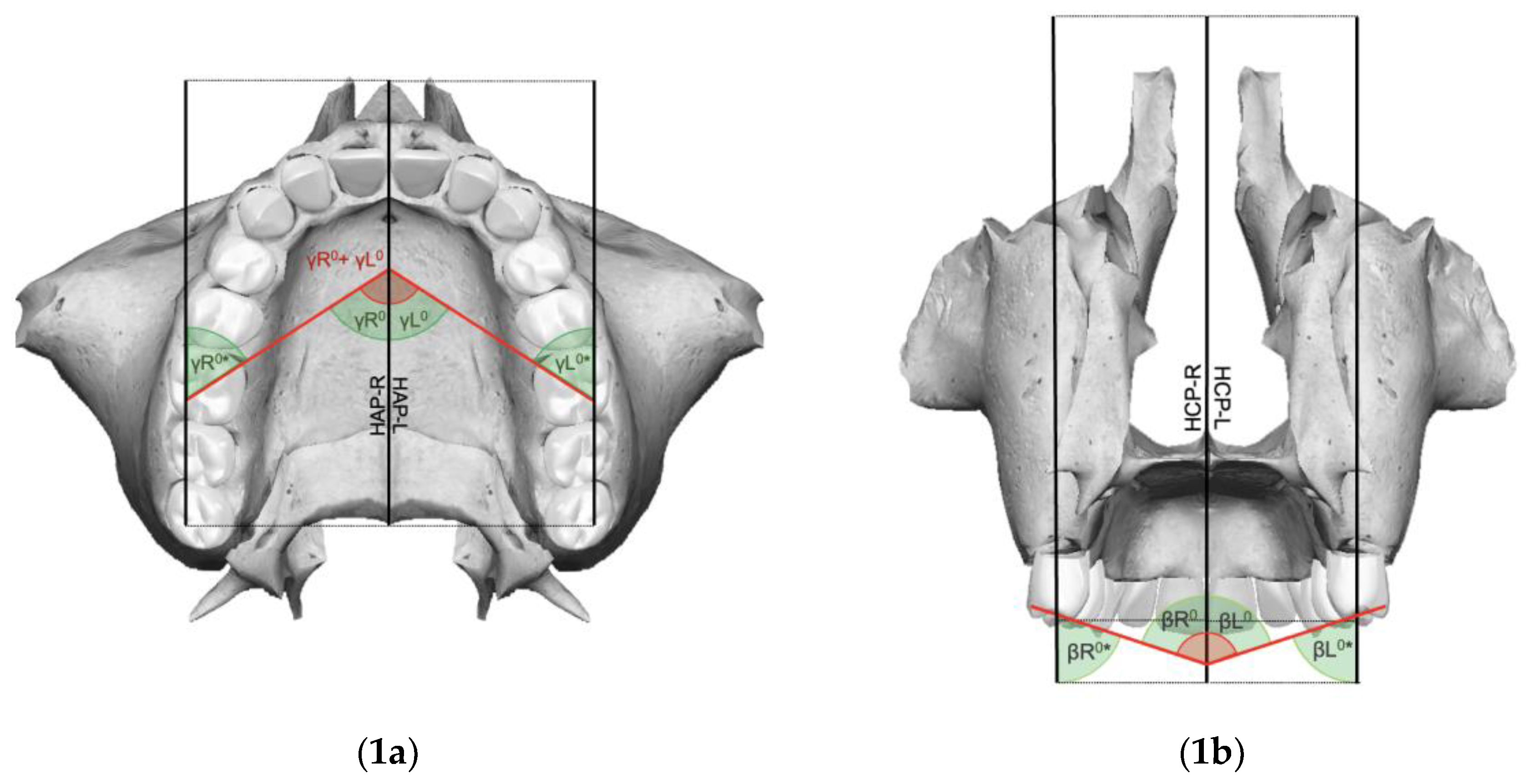 Applsci 14 11132 g001