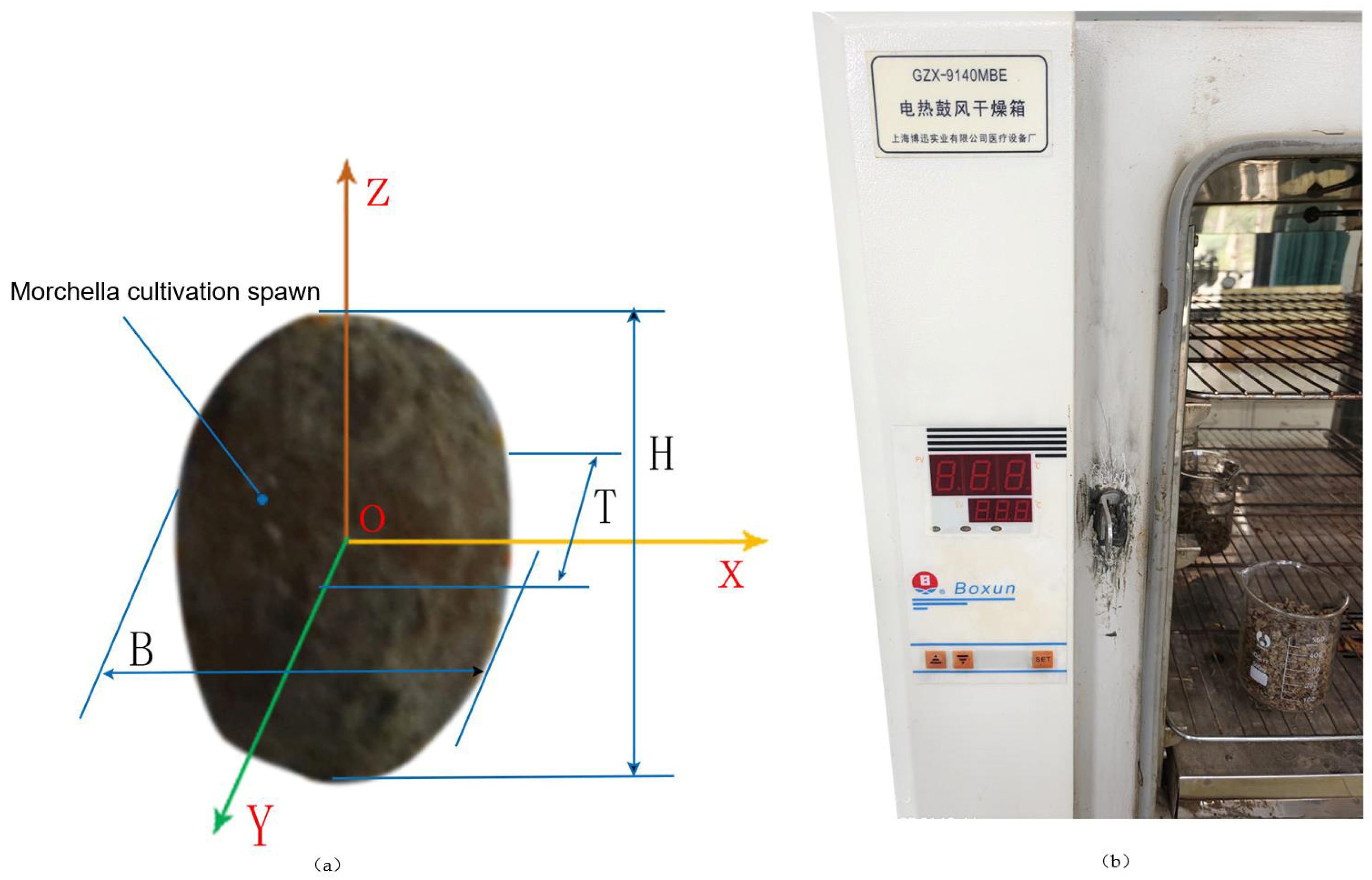 Applsci 14 11134 g001