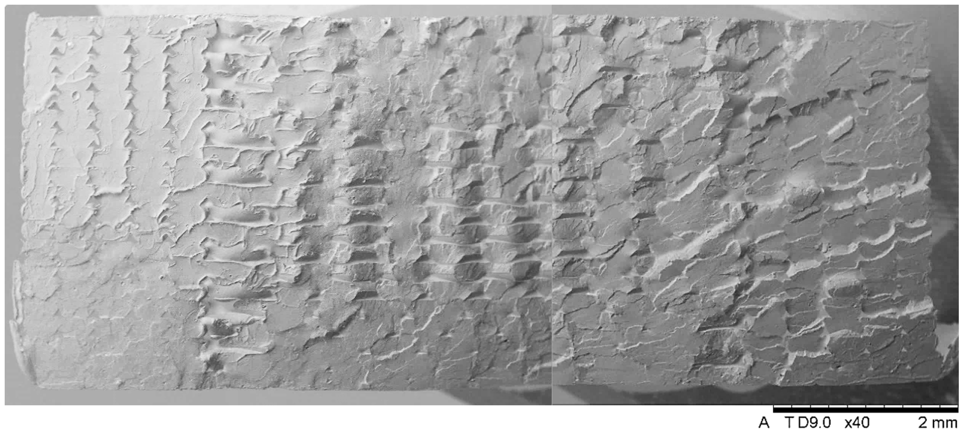 Applsci 14 11151 g014