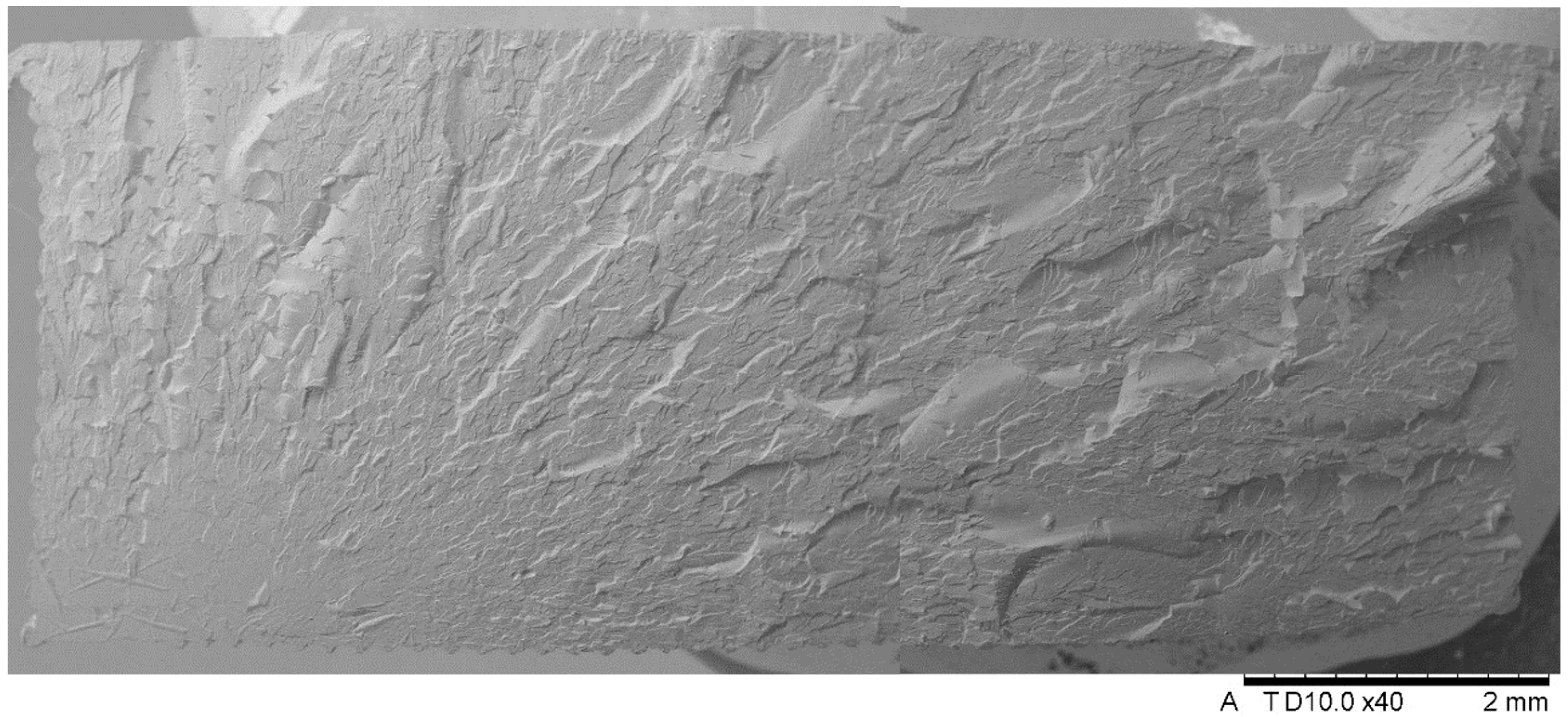 Applsci 14 11151 g015