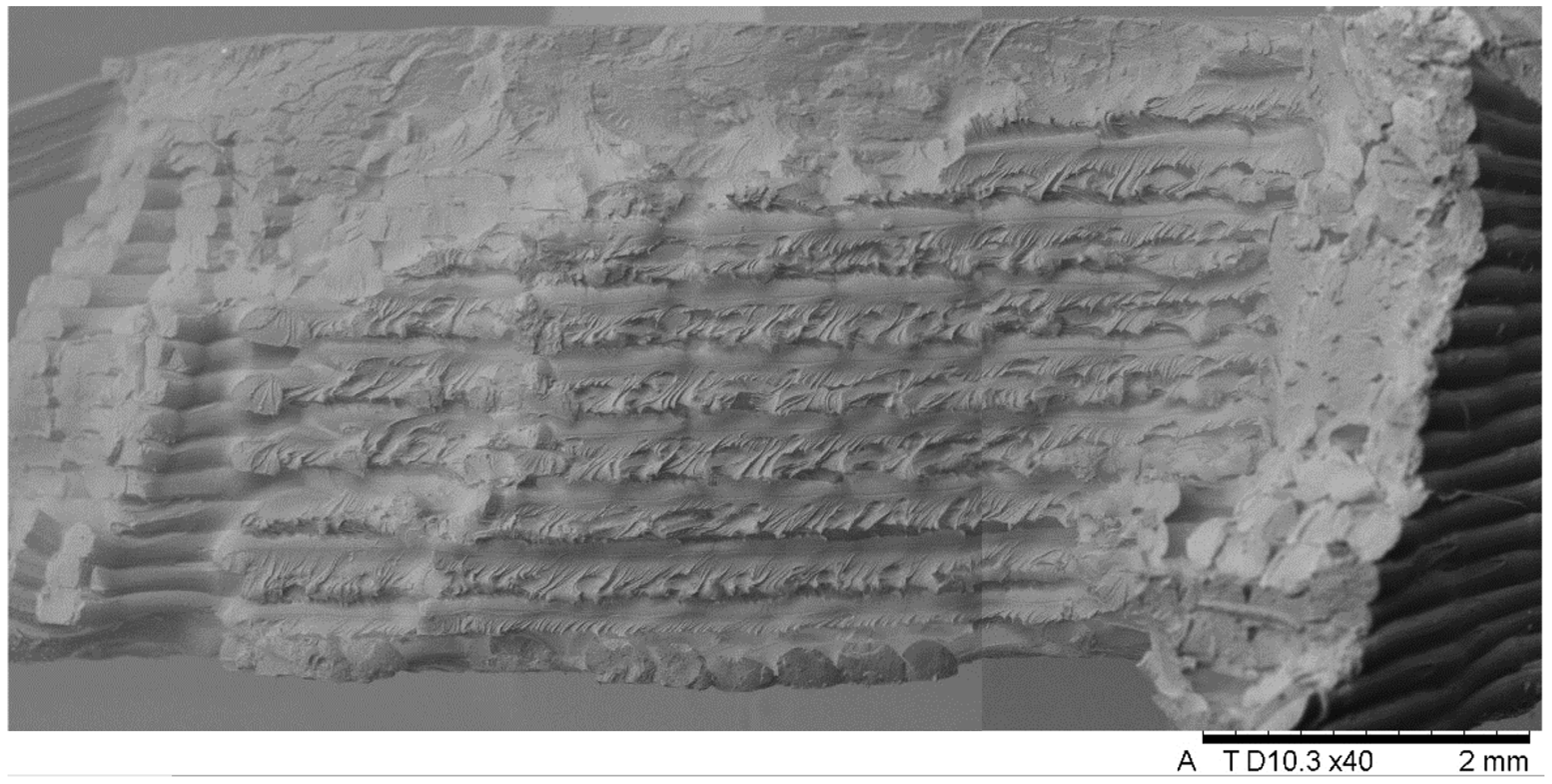 Applsci 14 11151 g016