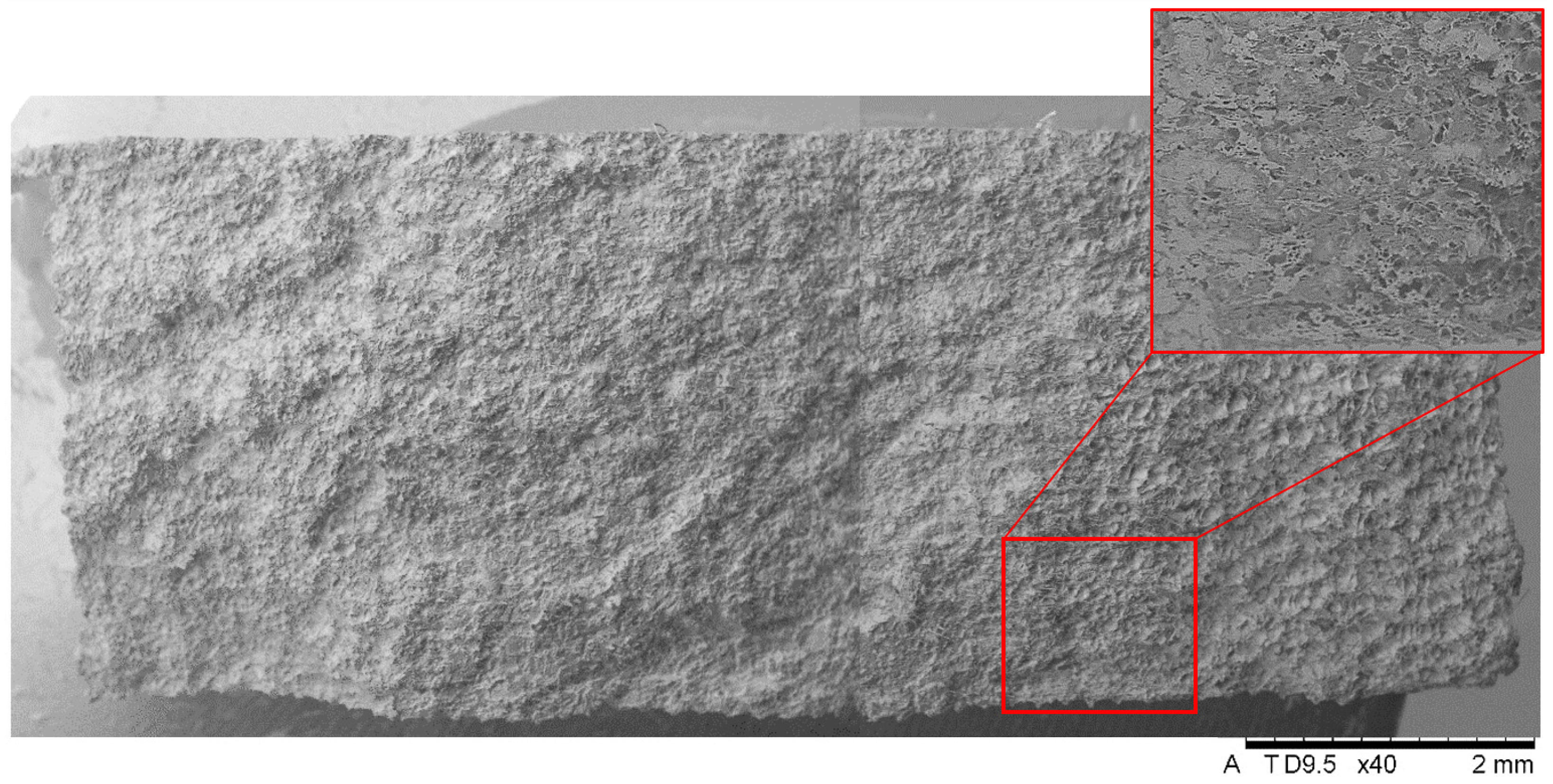 Applsci 14 11151 g019