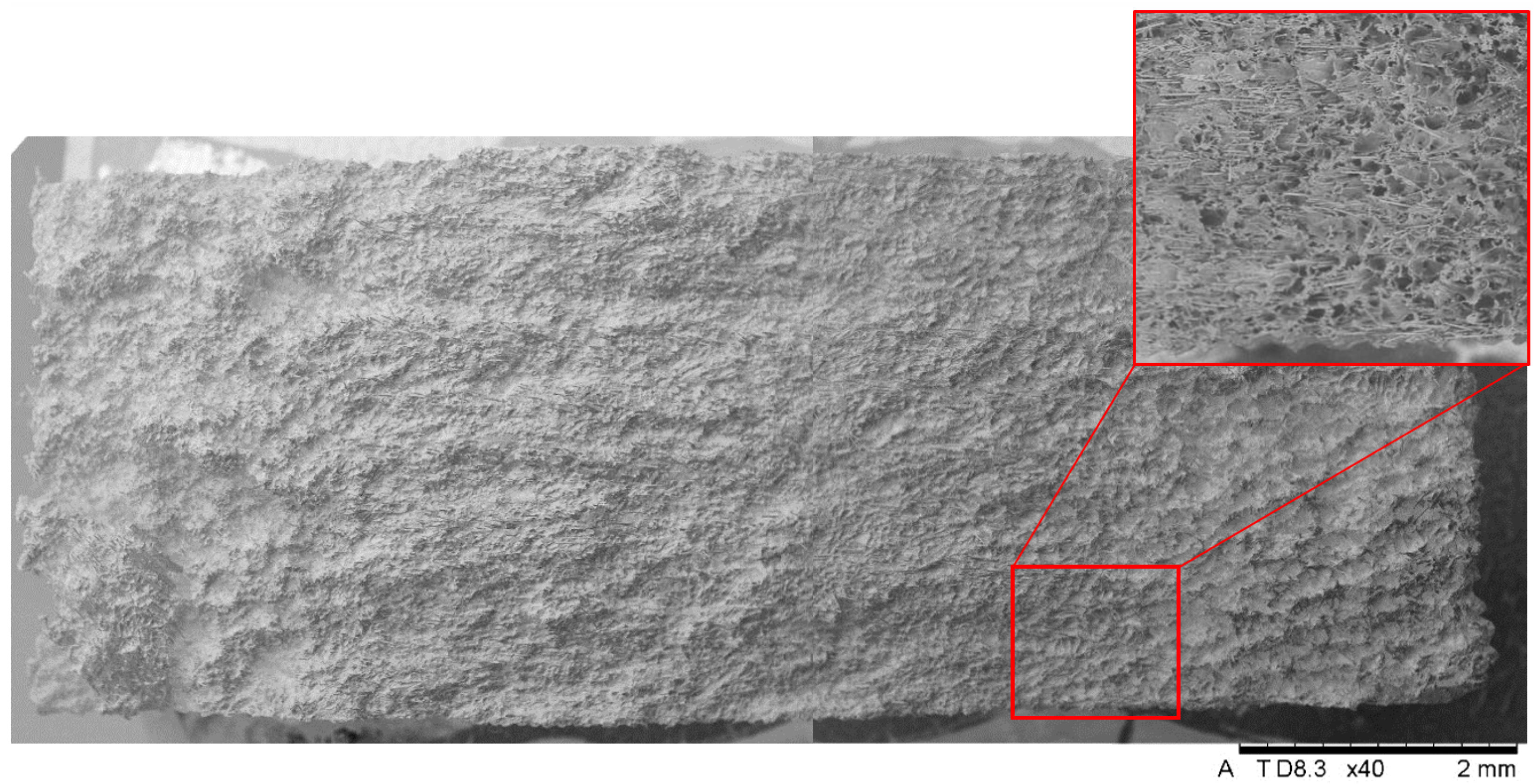 Applsci 14 11151 g020