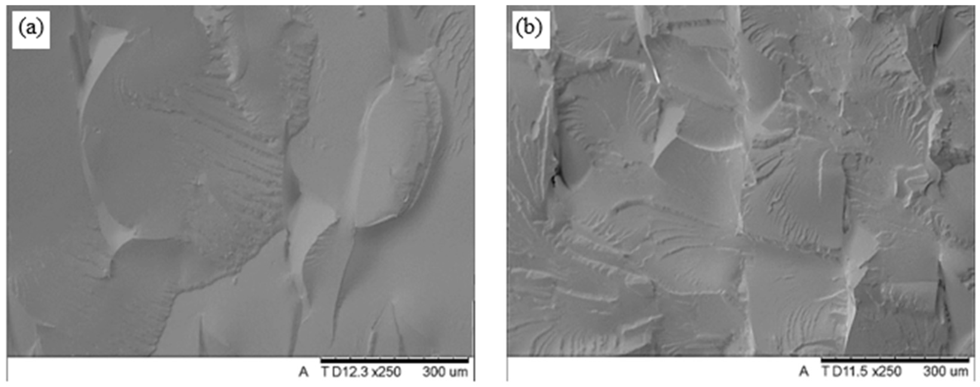 Applsci 14 11151 g025