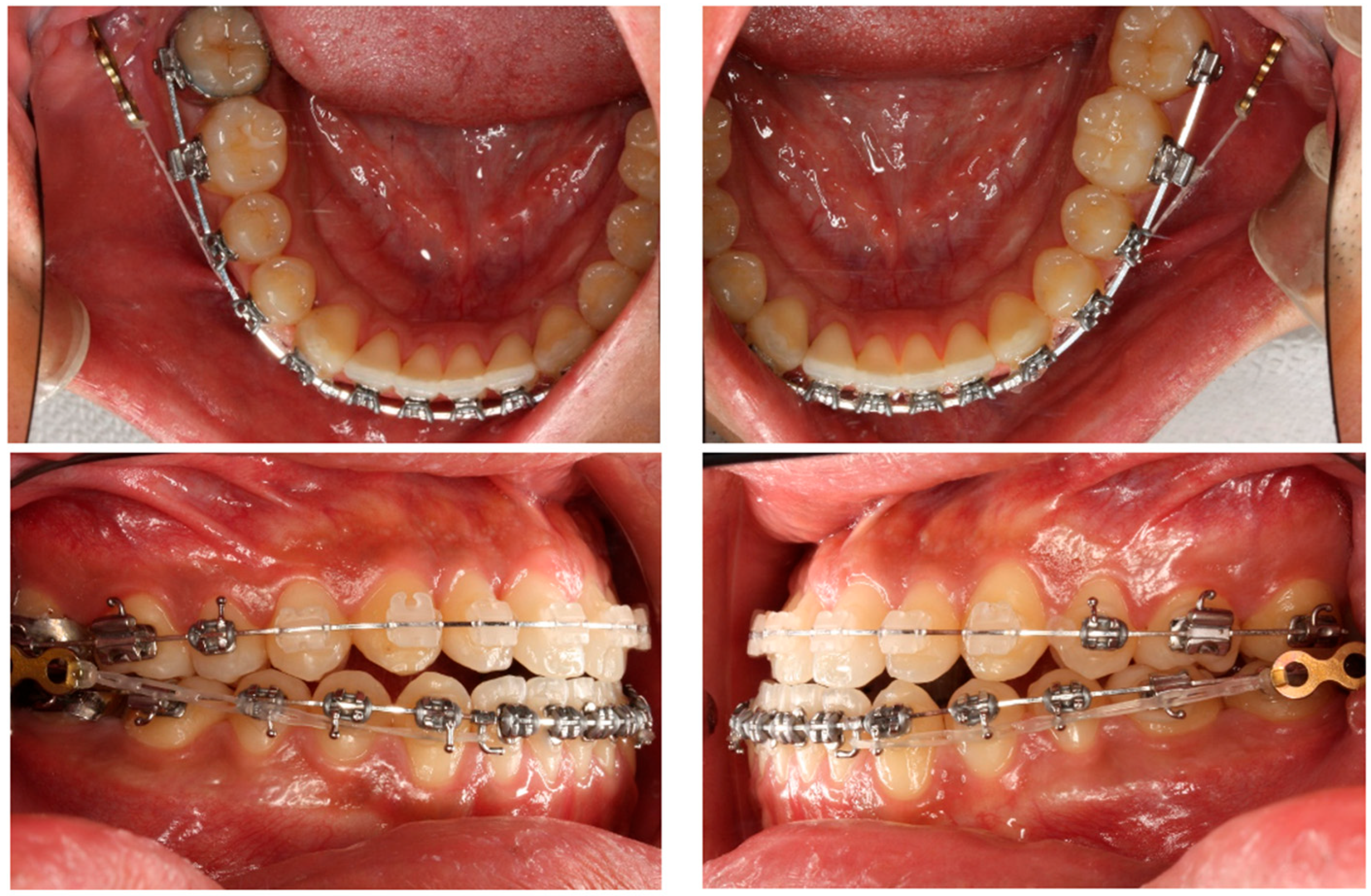 Applsci 14 11157 g002