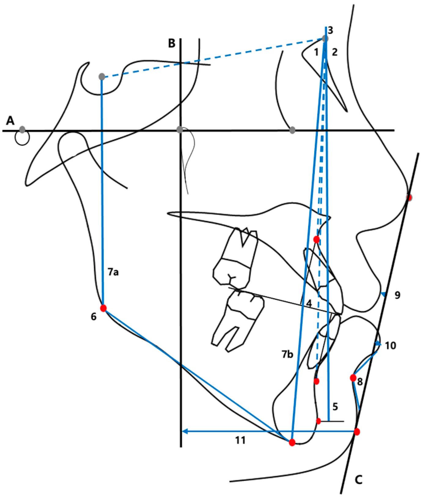 Applsci 14 11157 g003