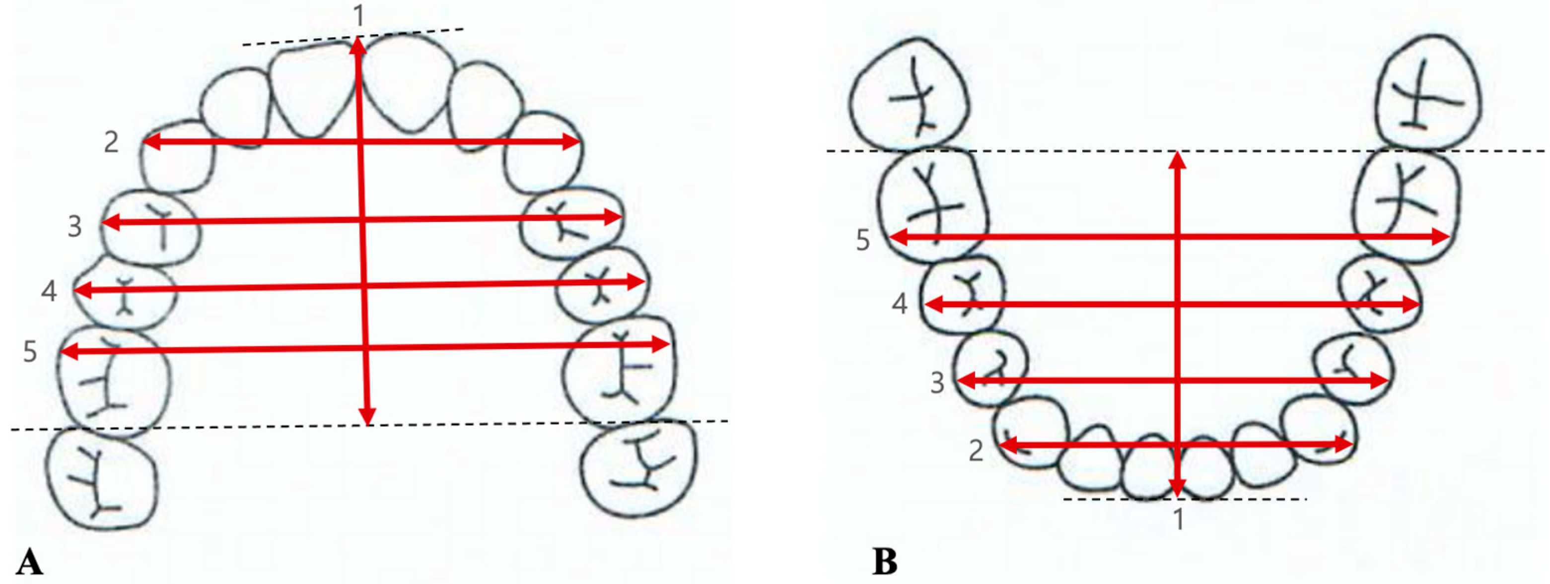 Applsci 14 11157 g005
