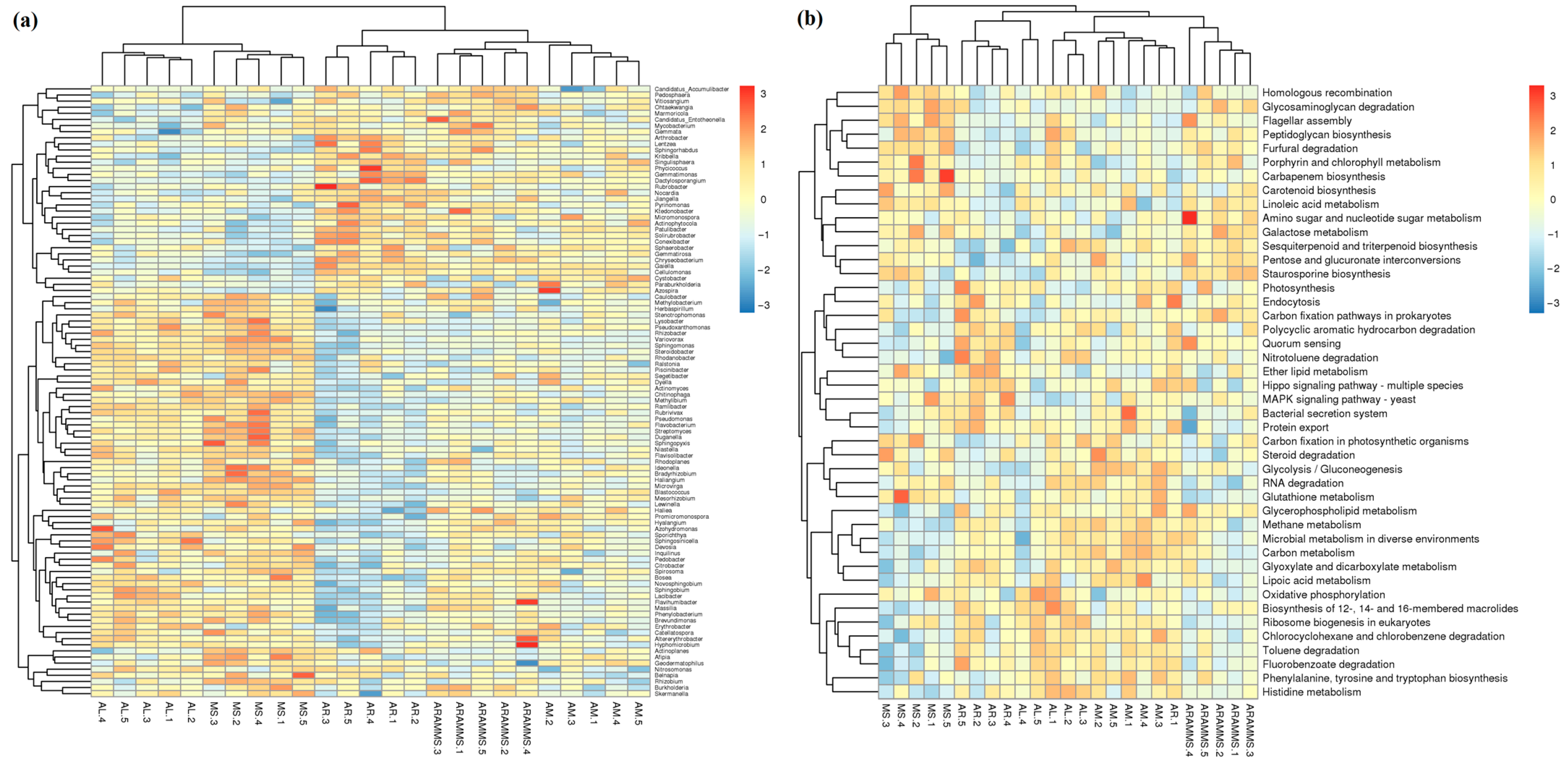 Applsci 14 11162 g010