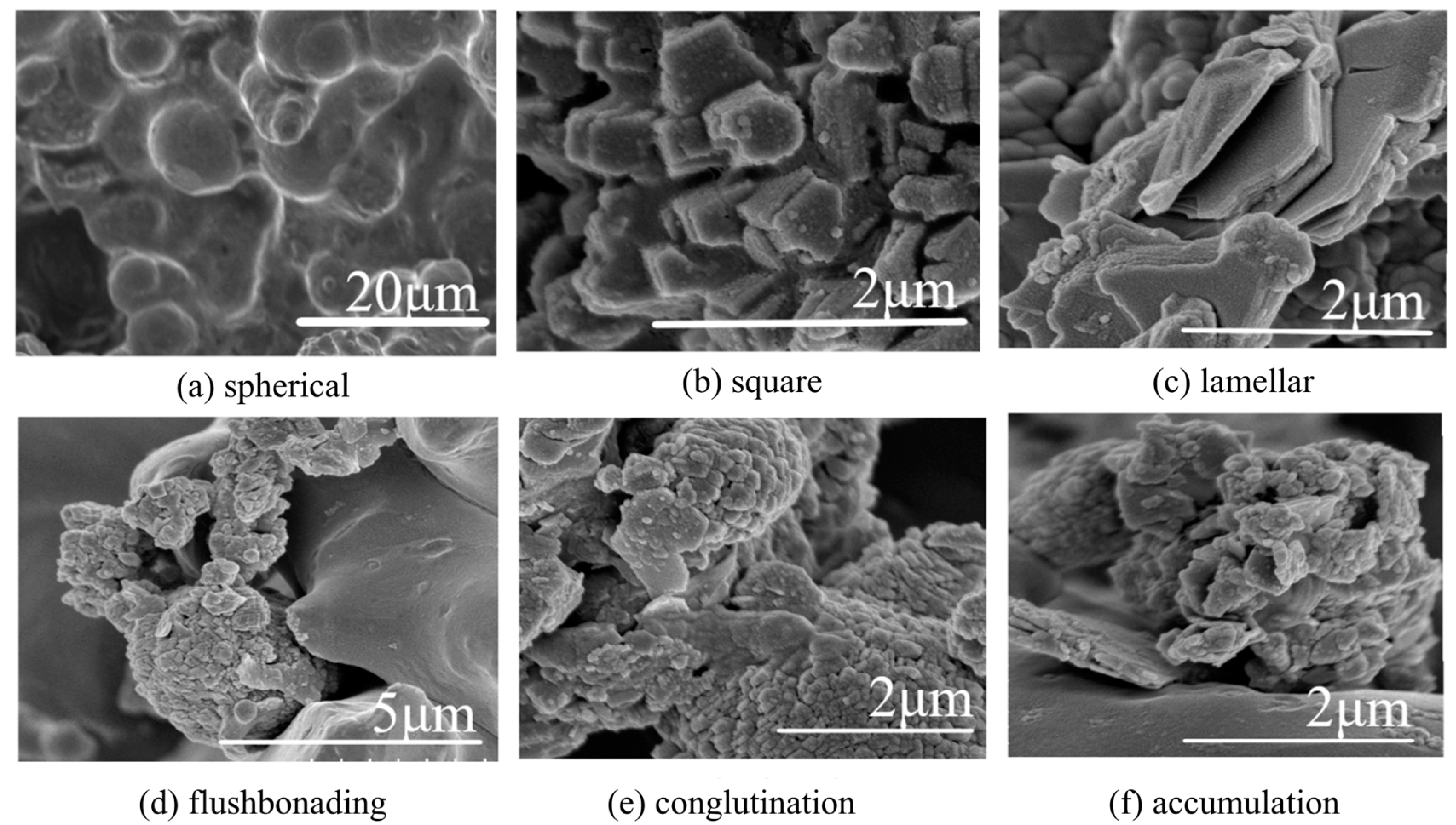 Applsci 14 11170 g008