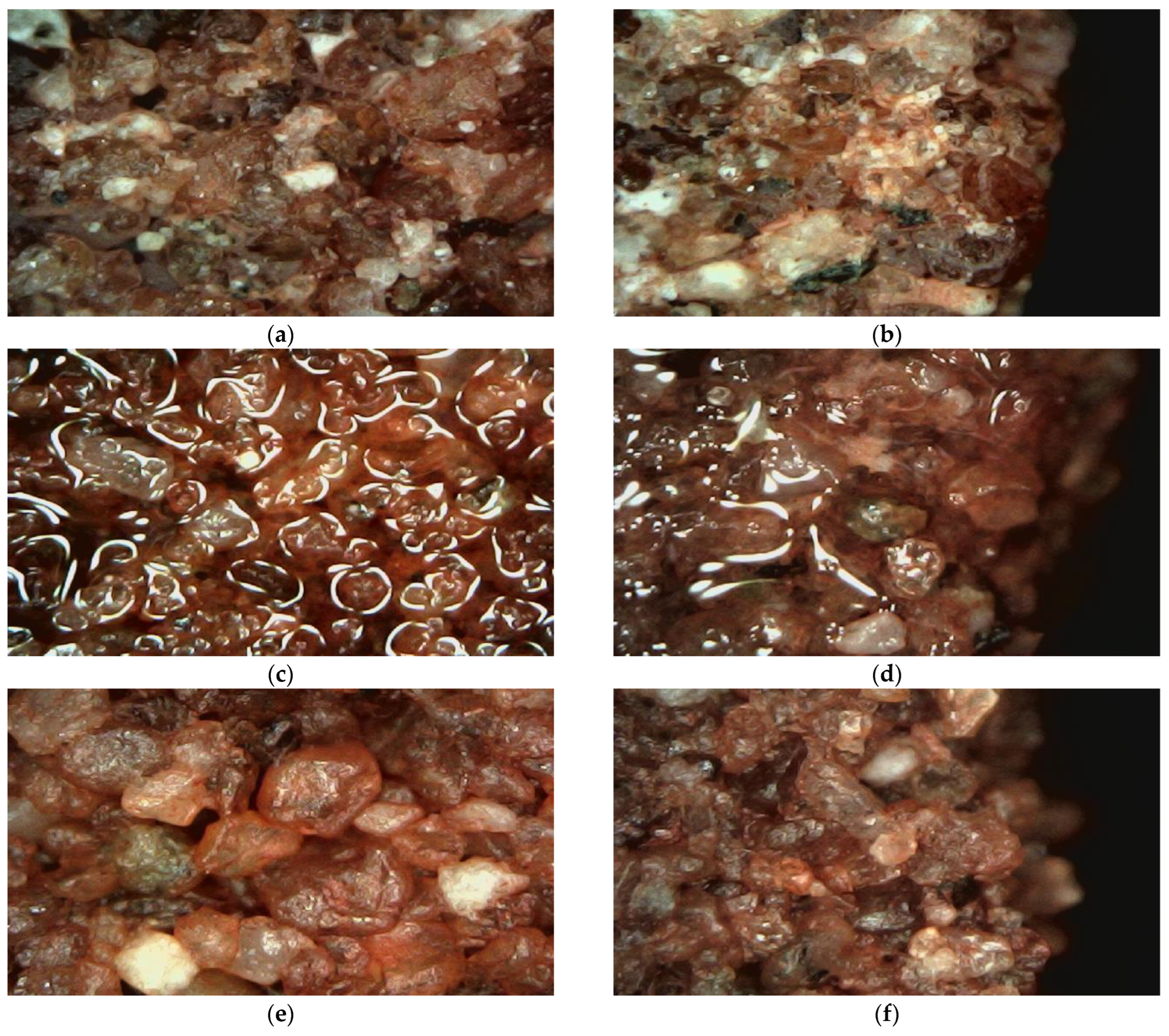 Applsci 14 11174 g013