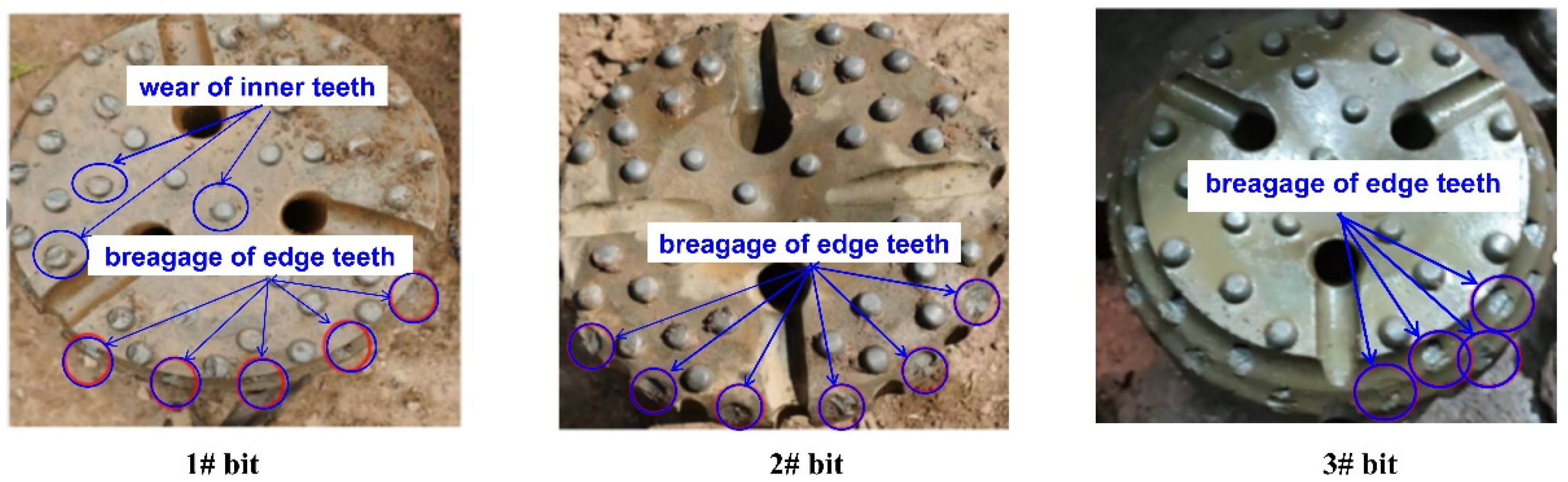Applsci 14 11184 g003