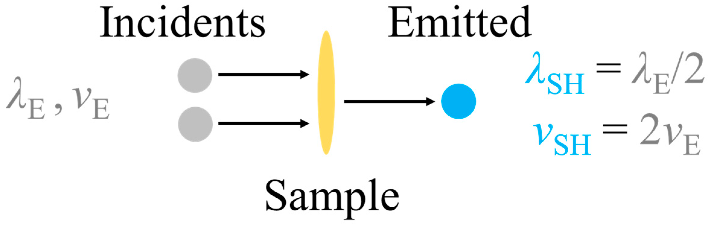 Applsci 14 11186 g001