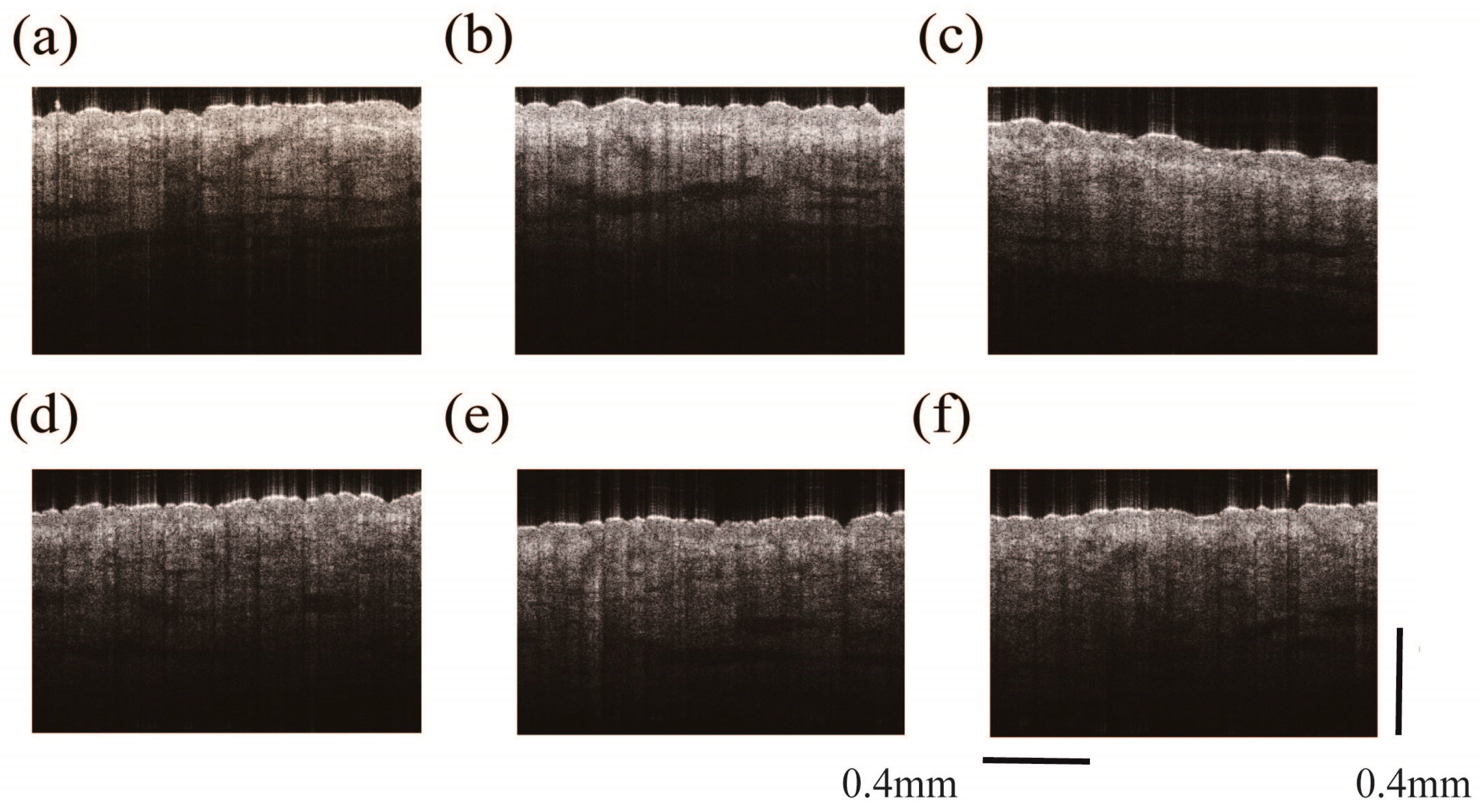 Applsci 14 11193 g004