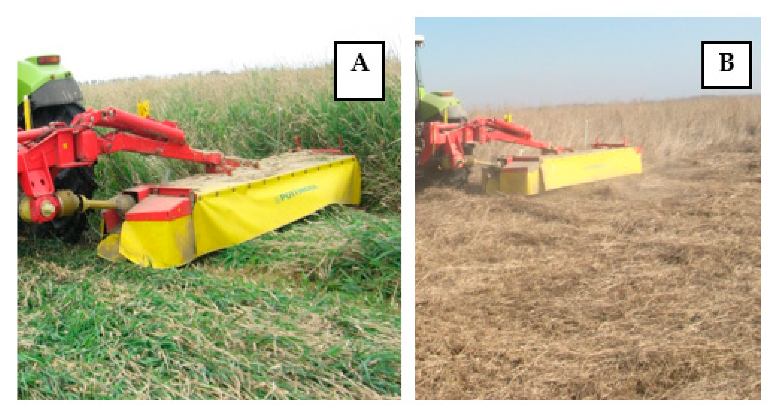 Applsci 14 11194 g005