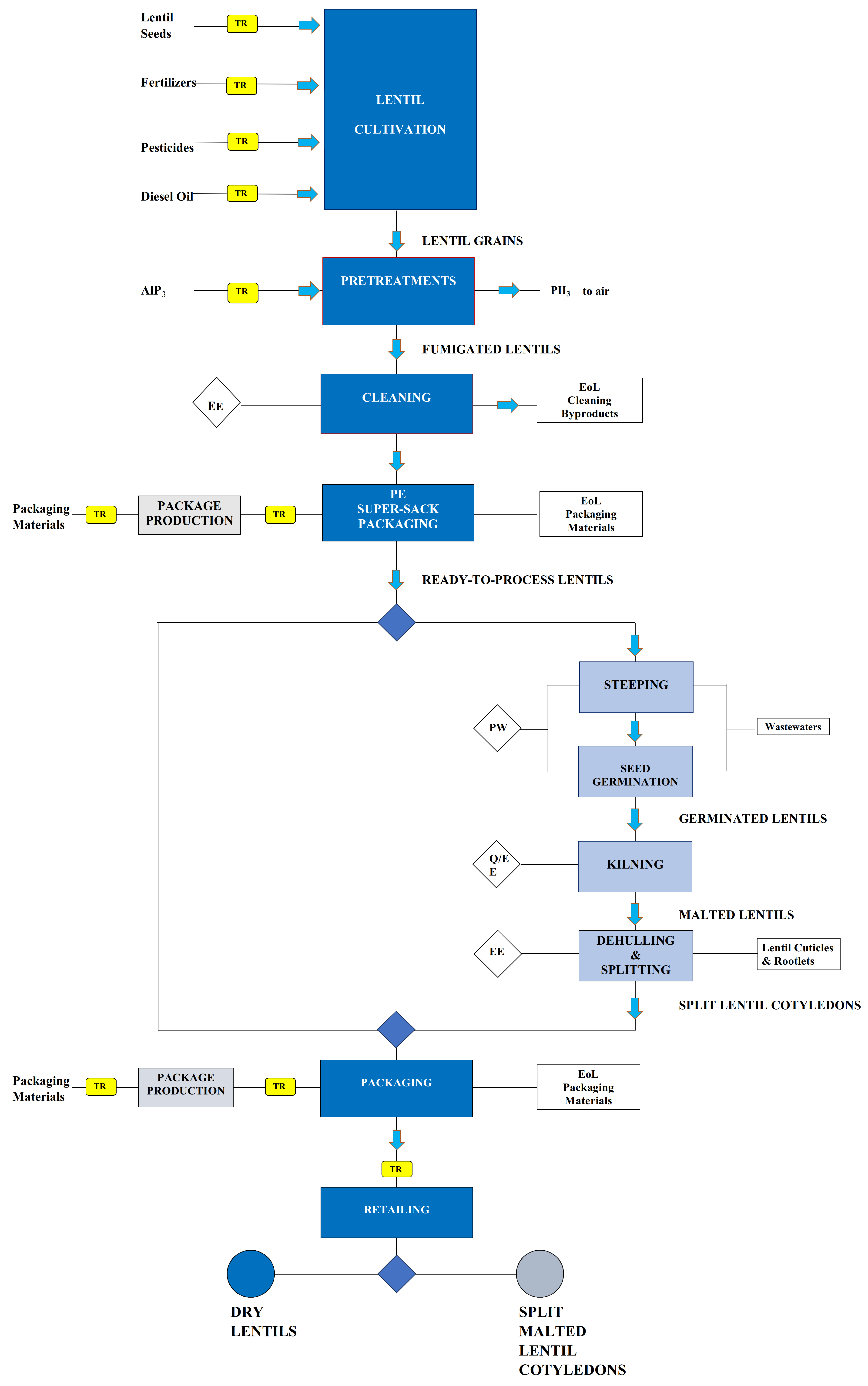 Applsci 14 11207 g001