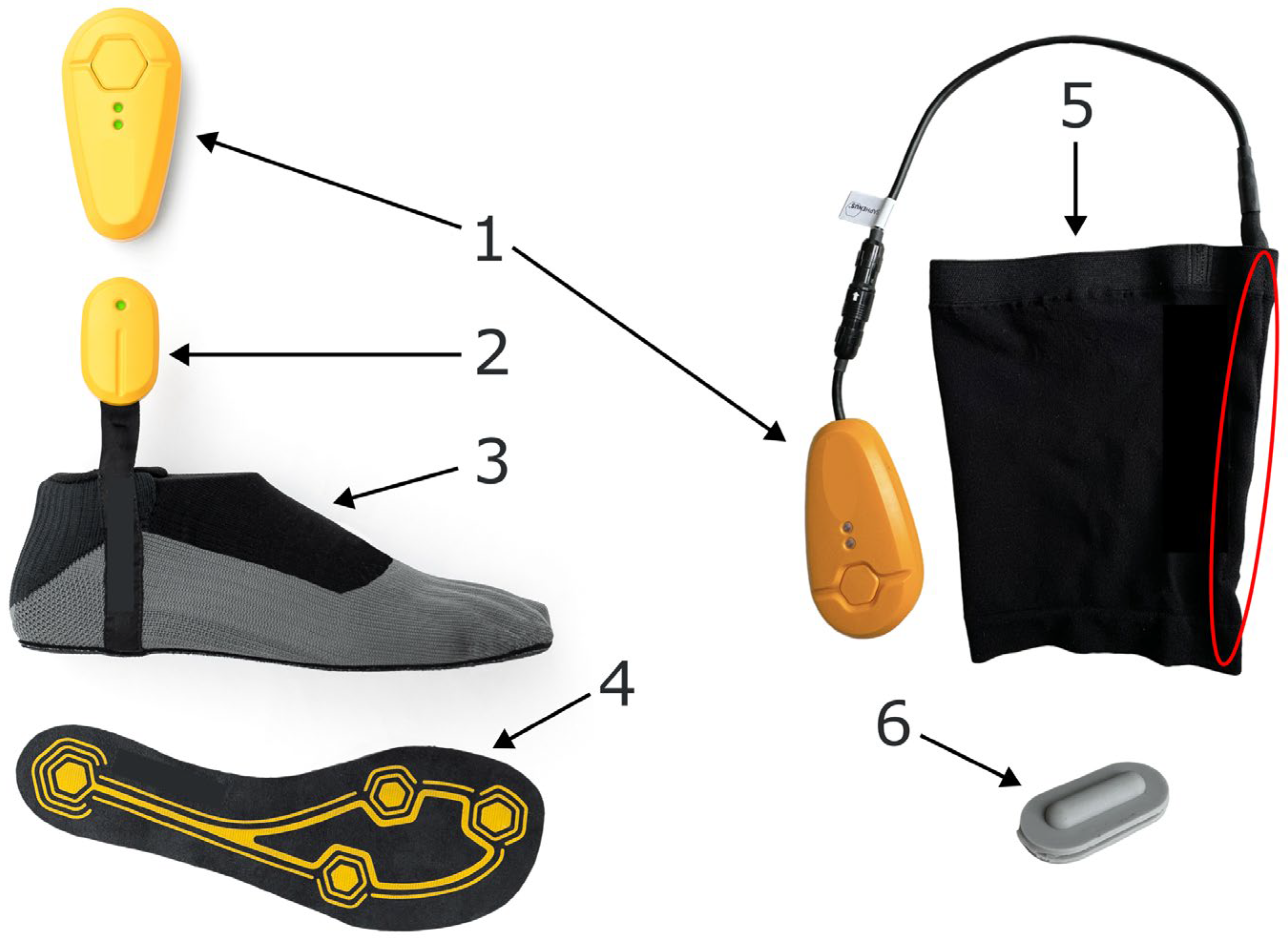 Applsci 14 11247 g001