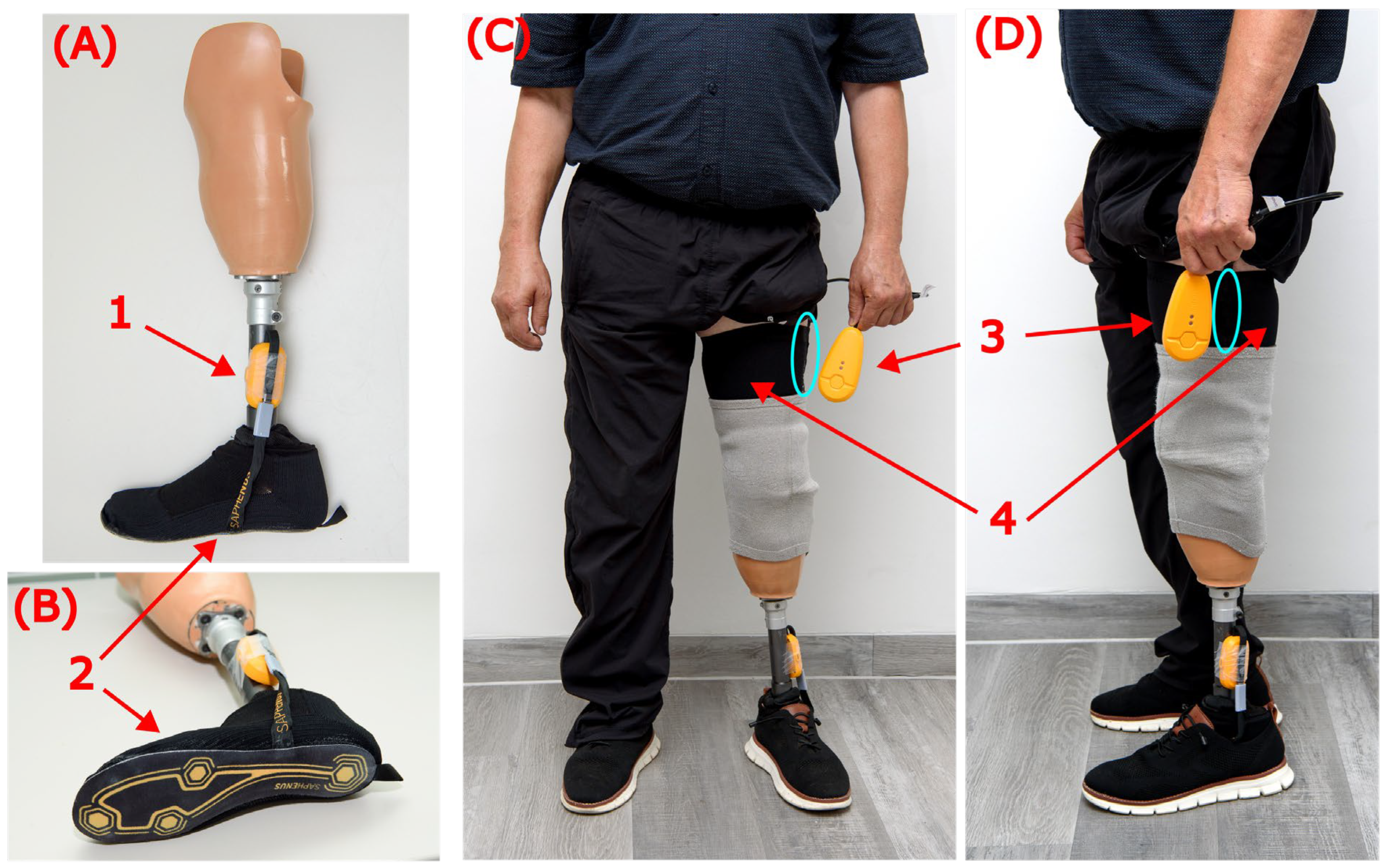 Applsci 14 11247 g003