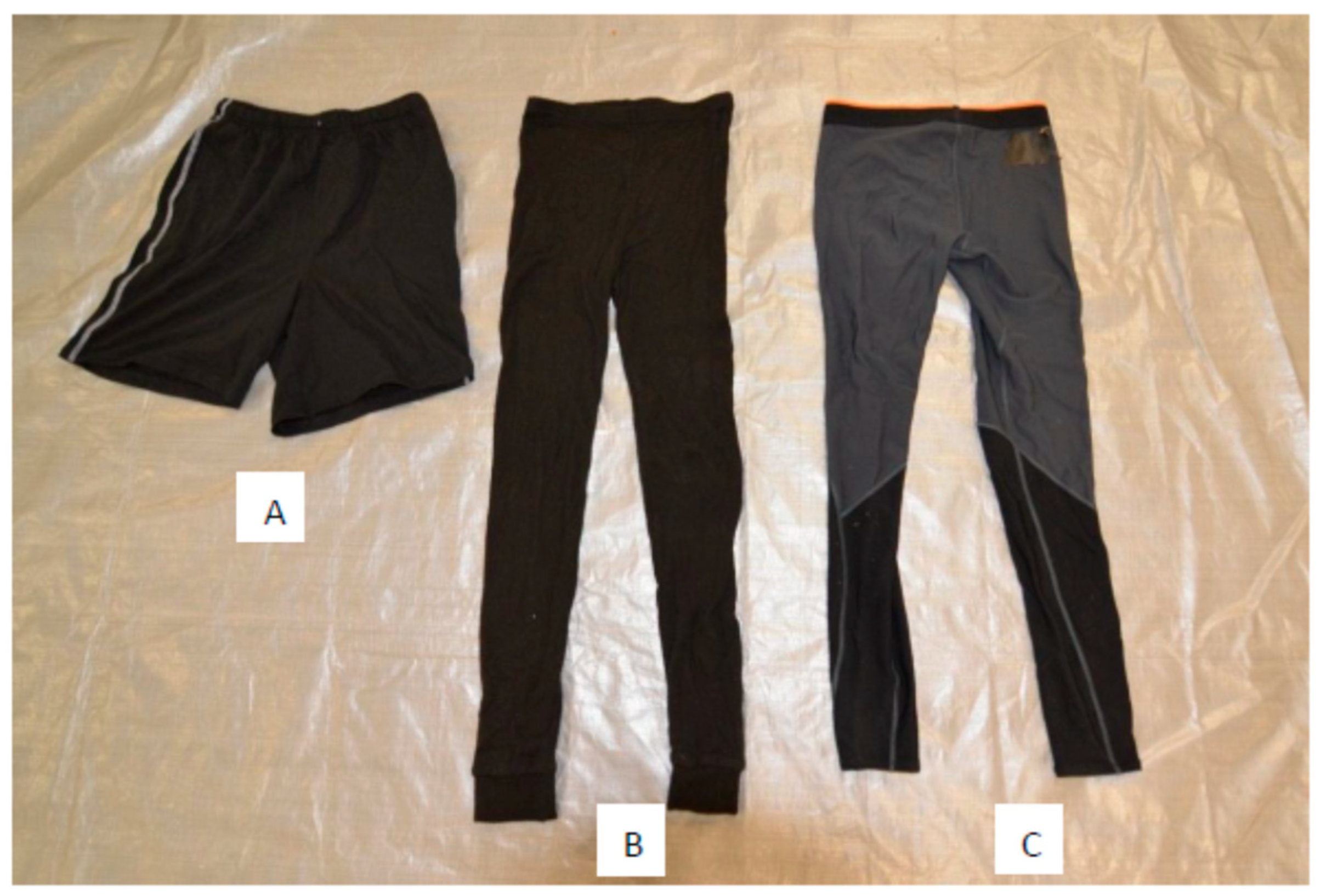 Applsci 14 11263 g001