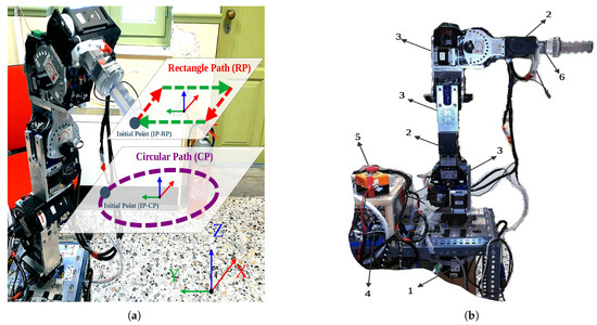 Experimental Investigation of Free-Motion Task