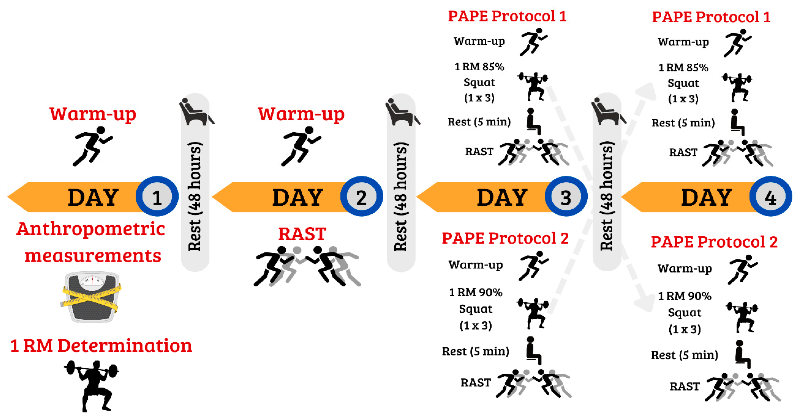 Applsci 14 11269 g001