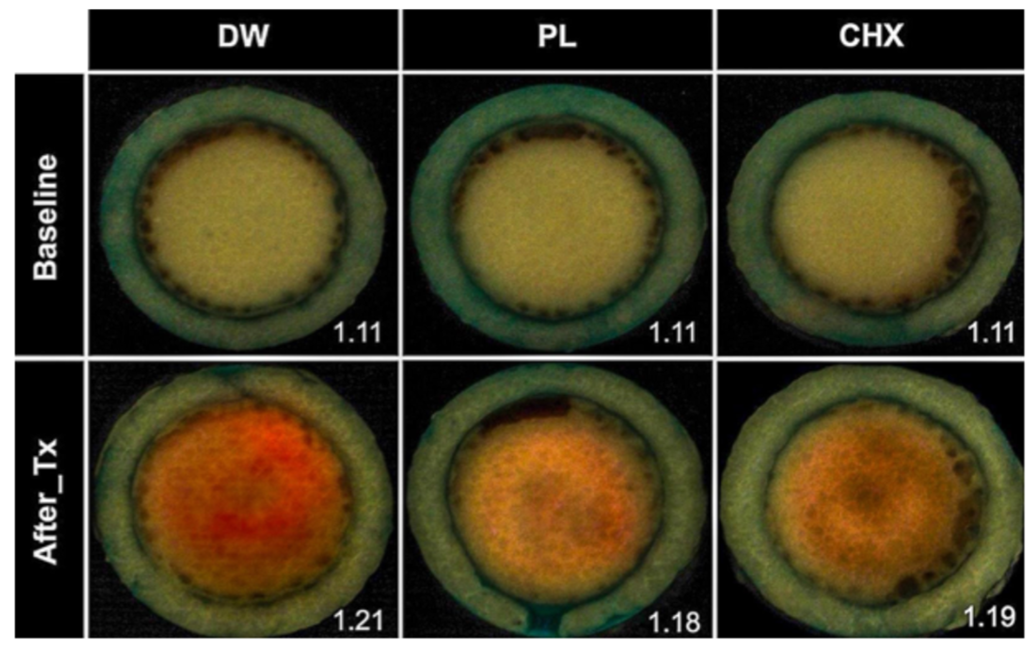 Applsci 14 11290 g003